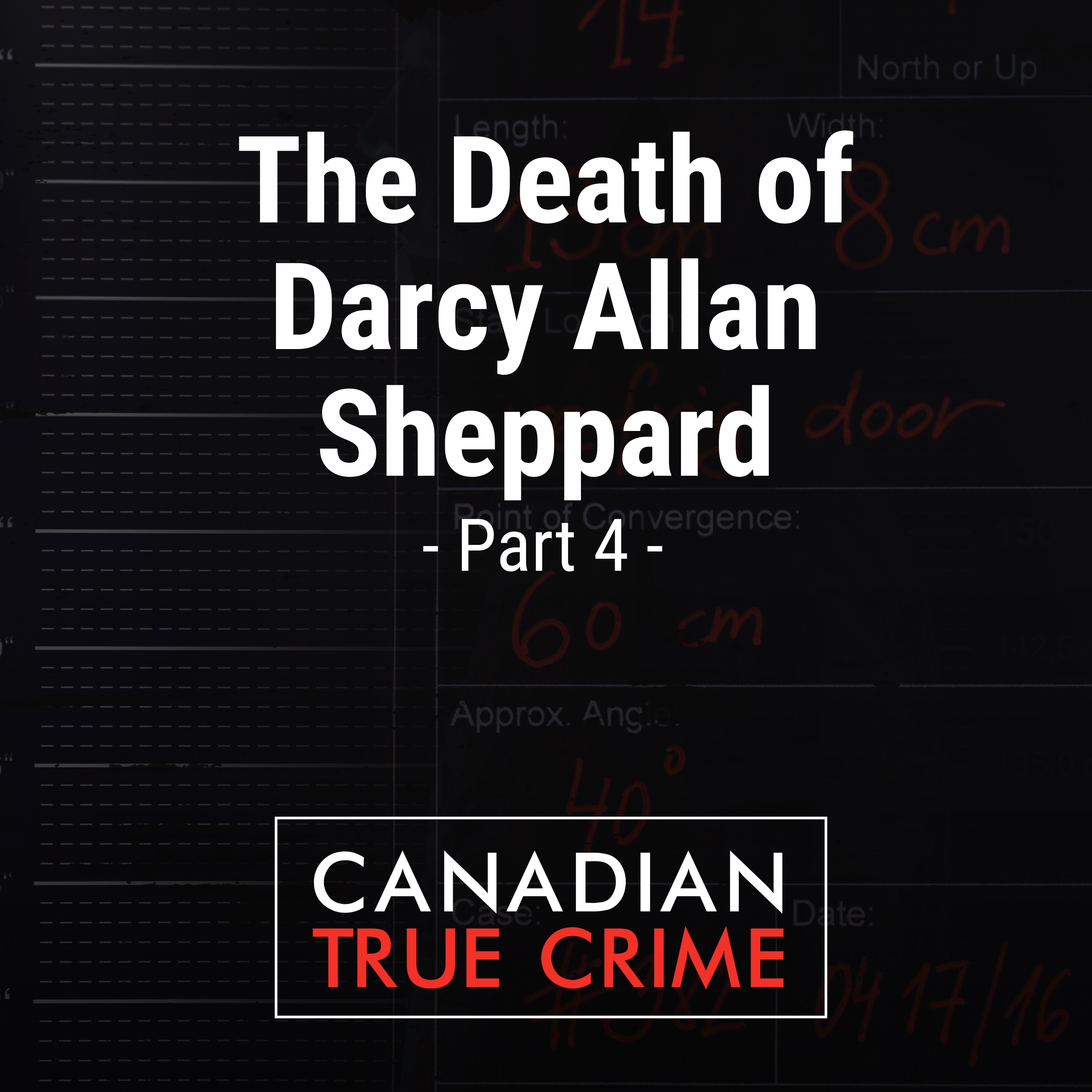 The Death of Darcy Allan Sheppard [4]