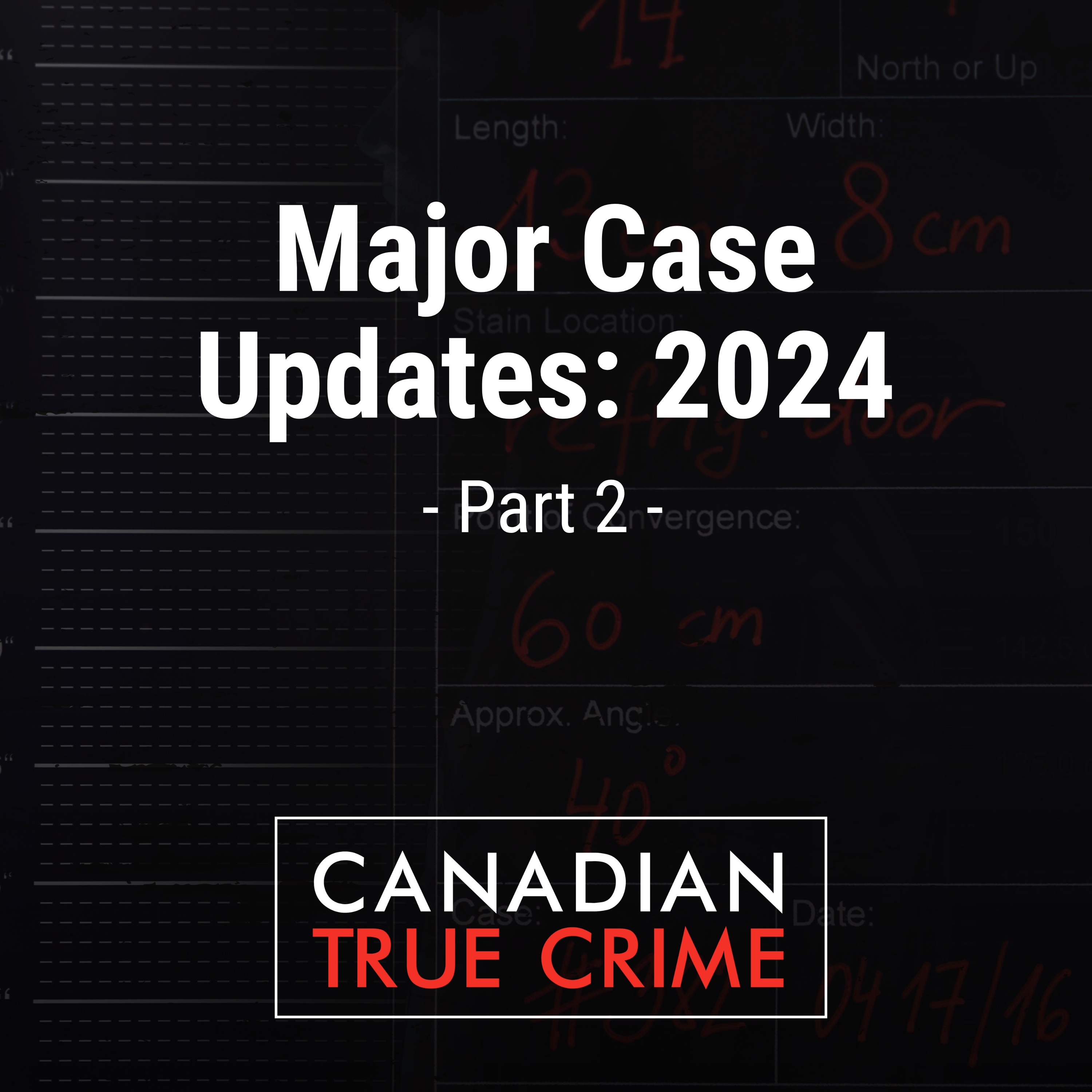 Major Case Updates: 2024 [2]