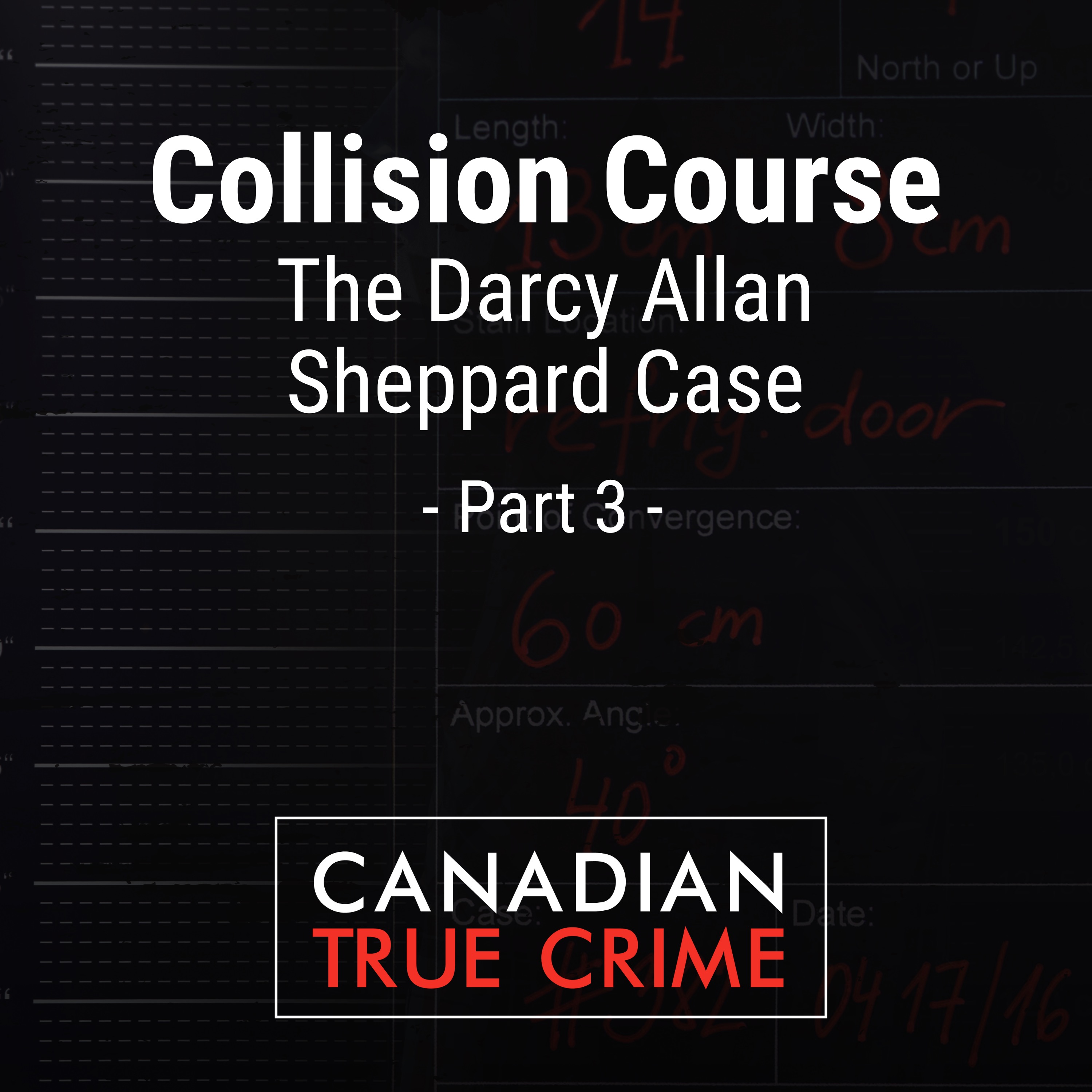 Collision Course: The Darcy Allan Sheppard Case [3]