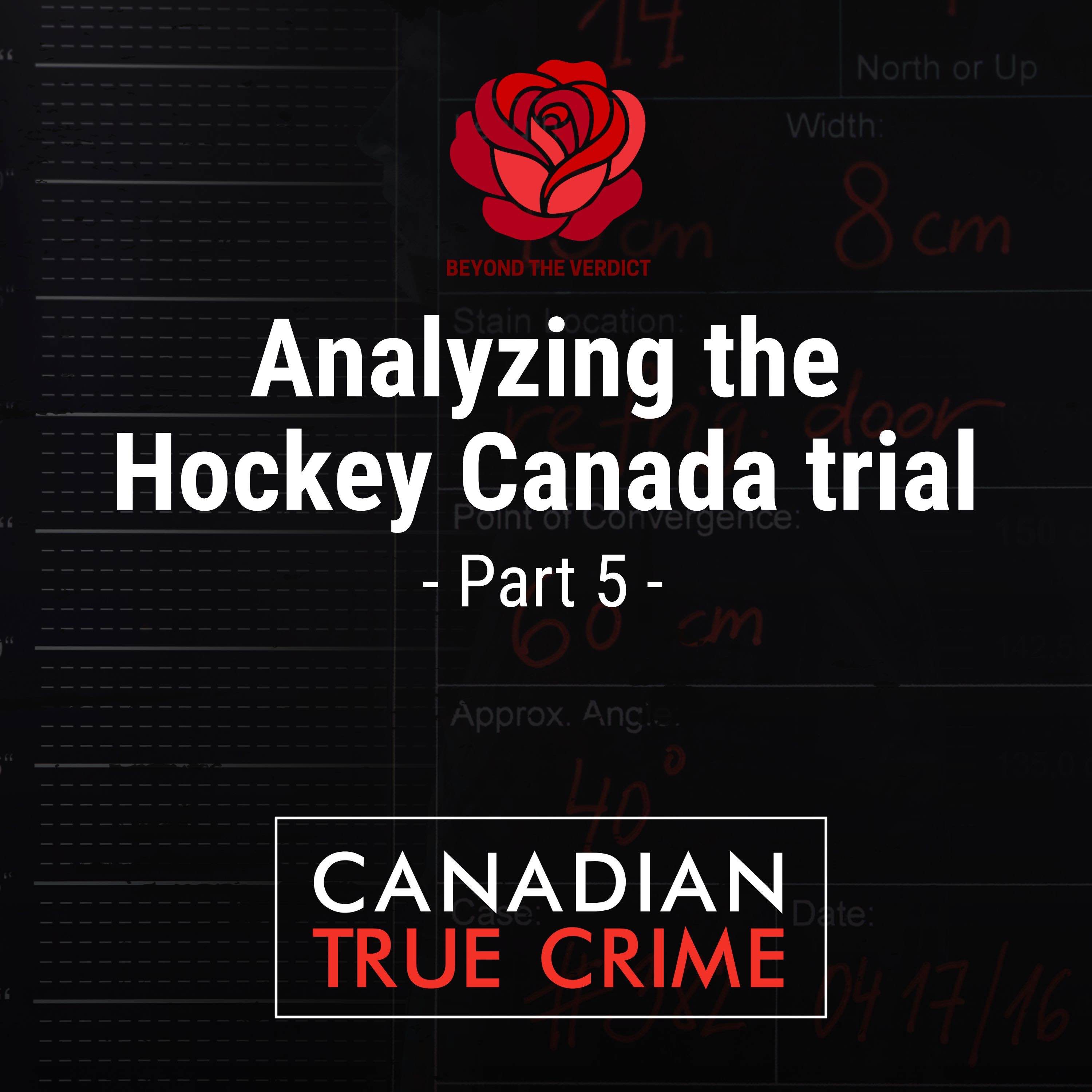 SERIES FINALE: Analyzing the Hockey Canada trial [5]