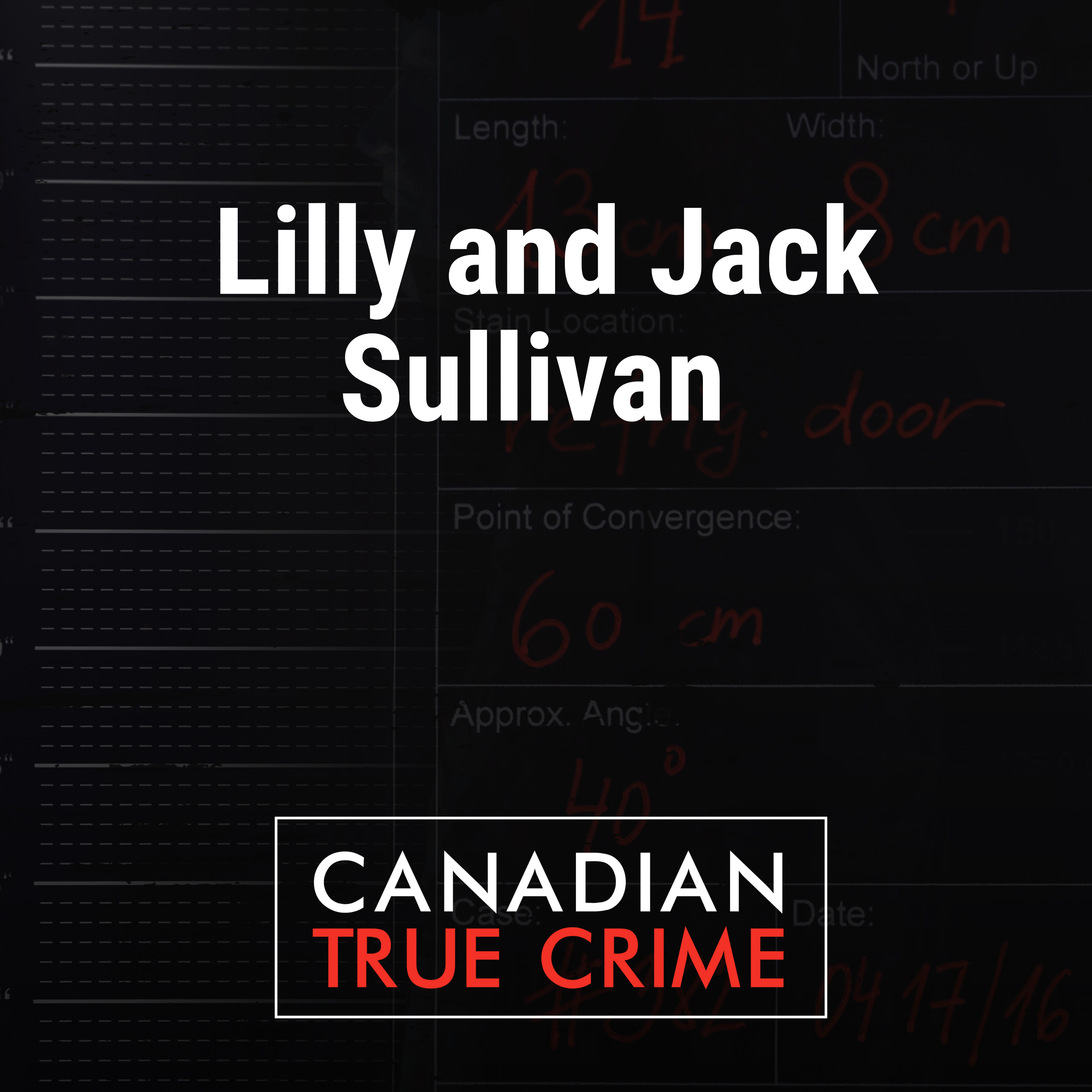 Lilly and Jack Sullivan: Cutting Through the Noise