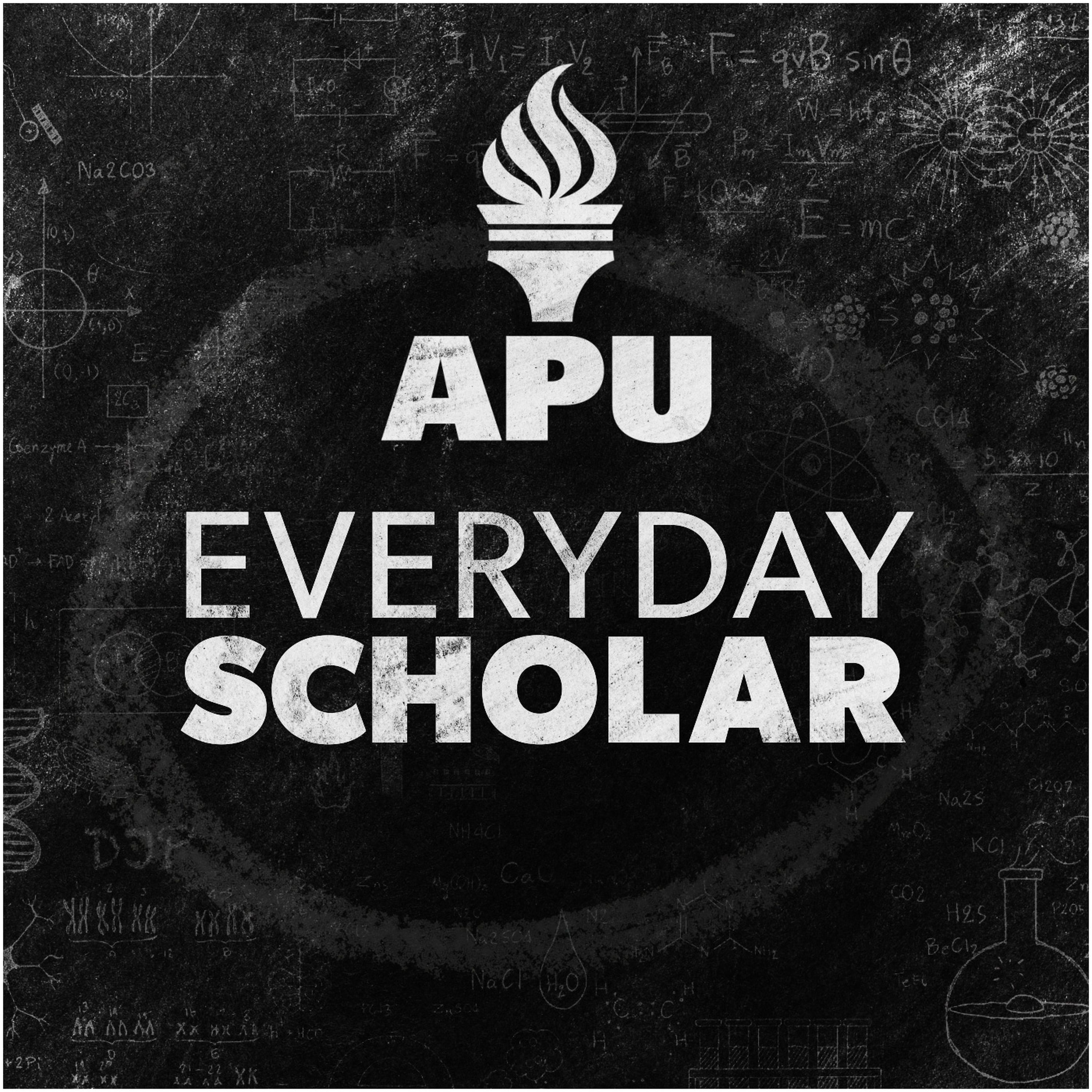 The Everyday Scholar