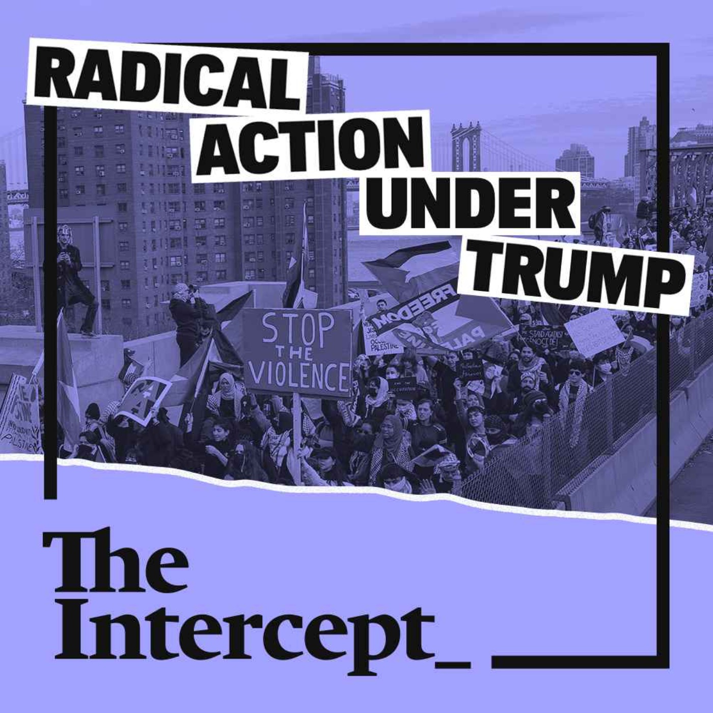 REBROADCAST Radical Action Under Trump - podcast episode cover