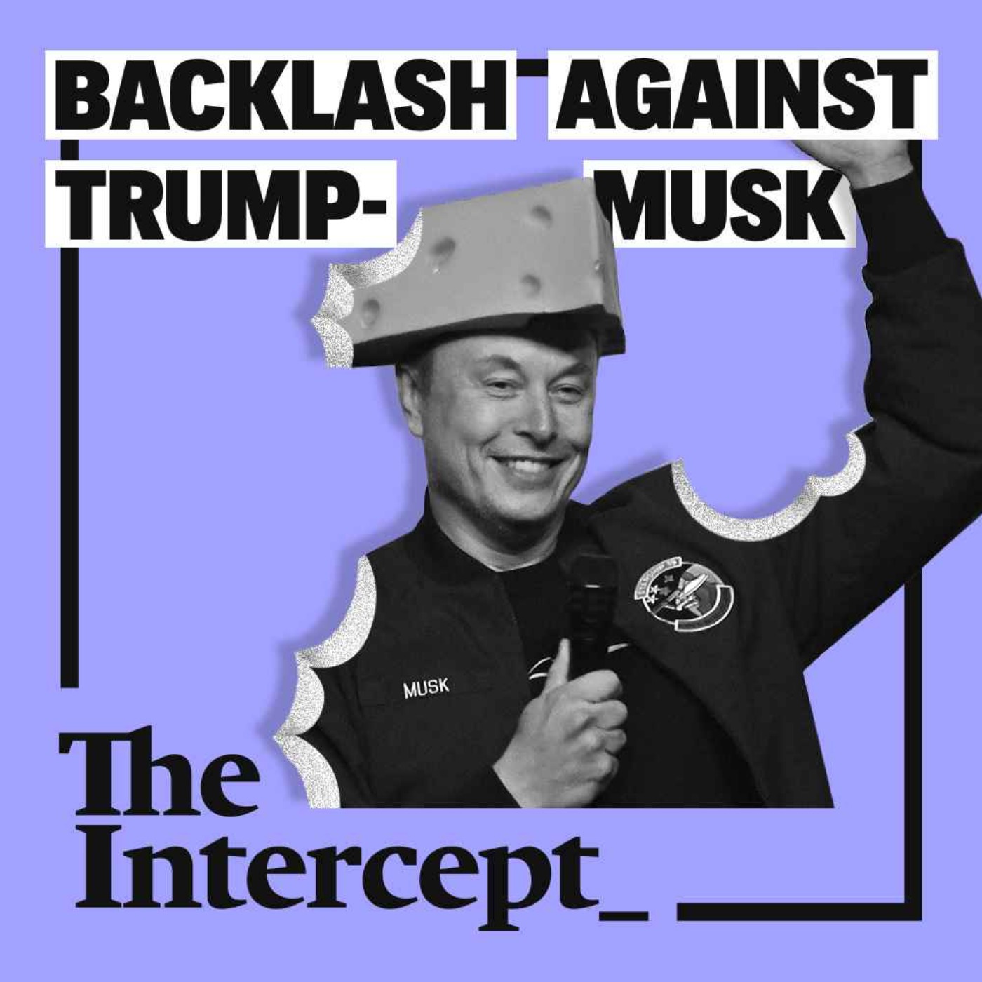 Unplugged: The Backlash Against Trump–Musk