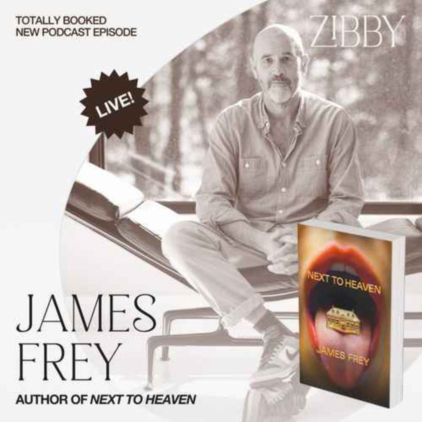 James Frey, NEXT TO HEAVEN: A Novel