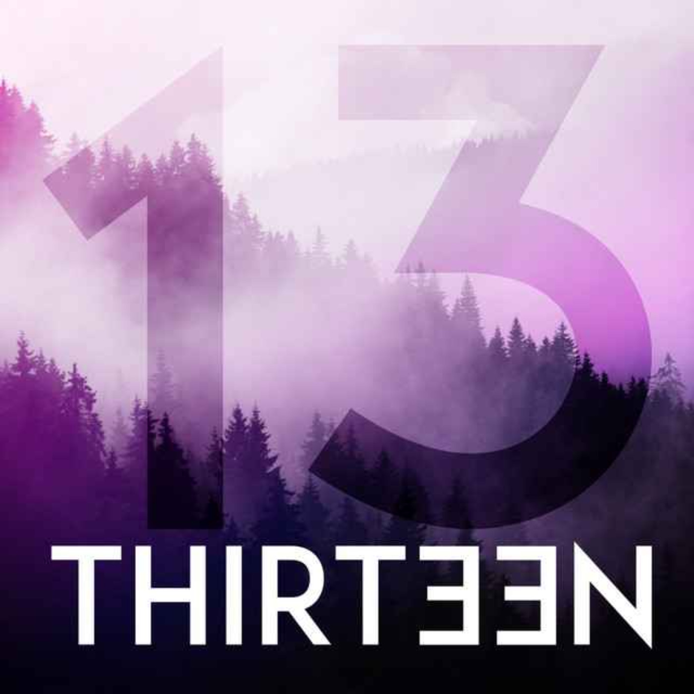 Introducing: Thirteen