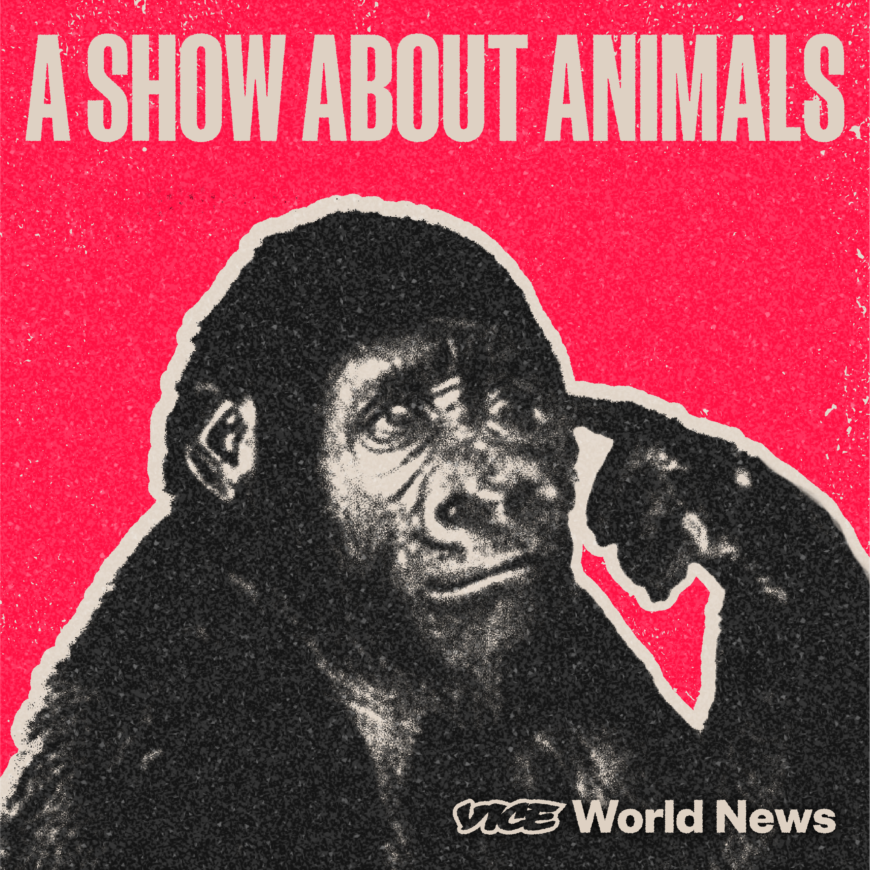 Introducing: A Show About Animals - podcast episode cover