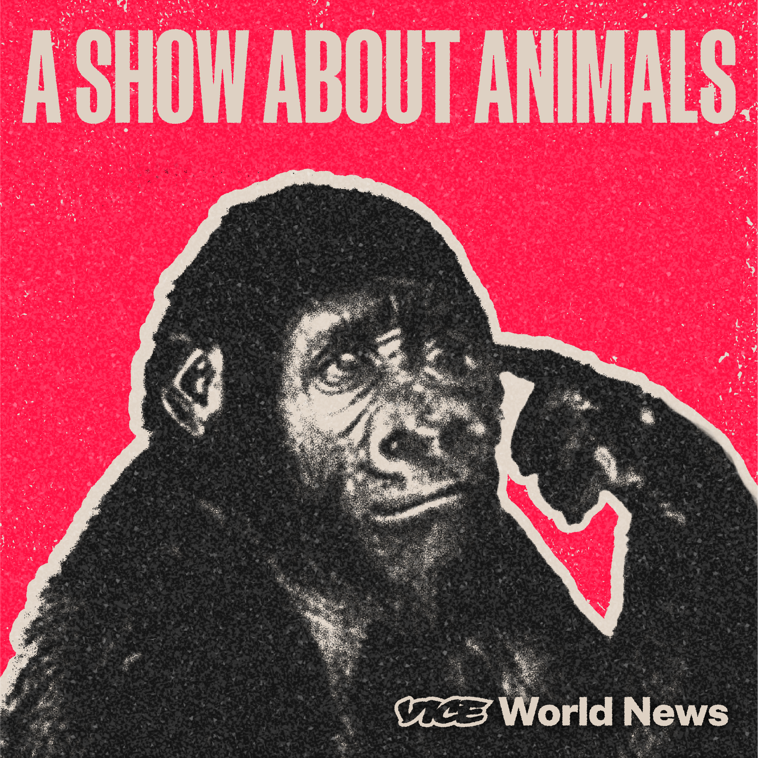 cover art for Introducing: A Show About Animals