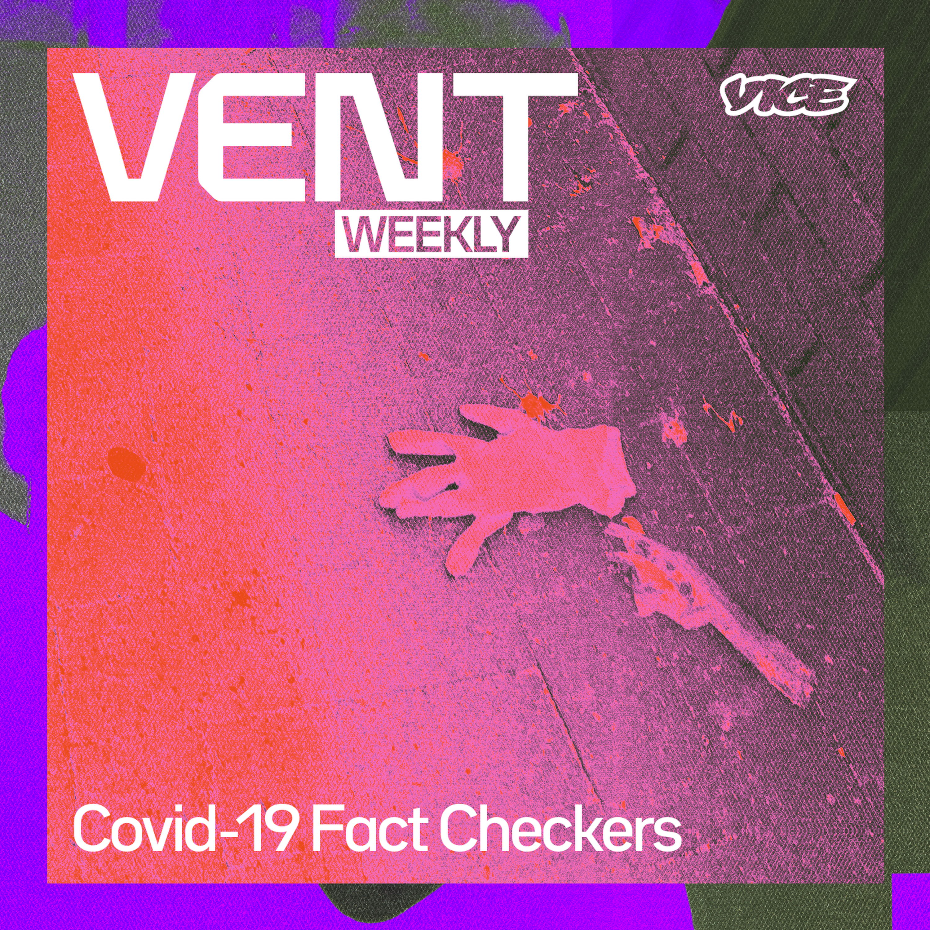 cover art for #24 Bonus: Covid-19 Fact Checkers #2 The Virus Does Discriminate