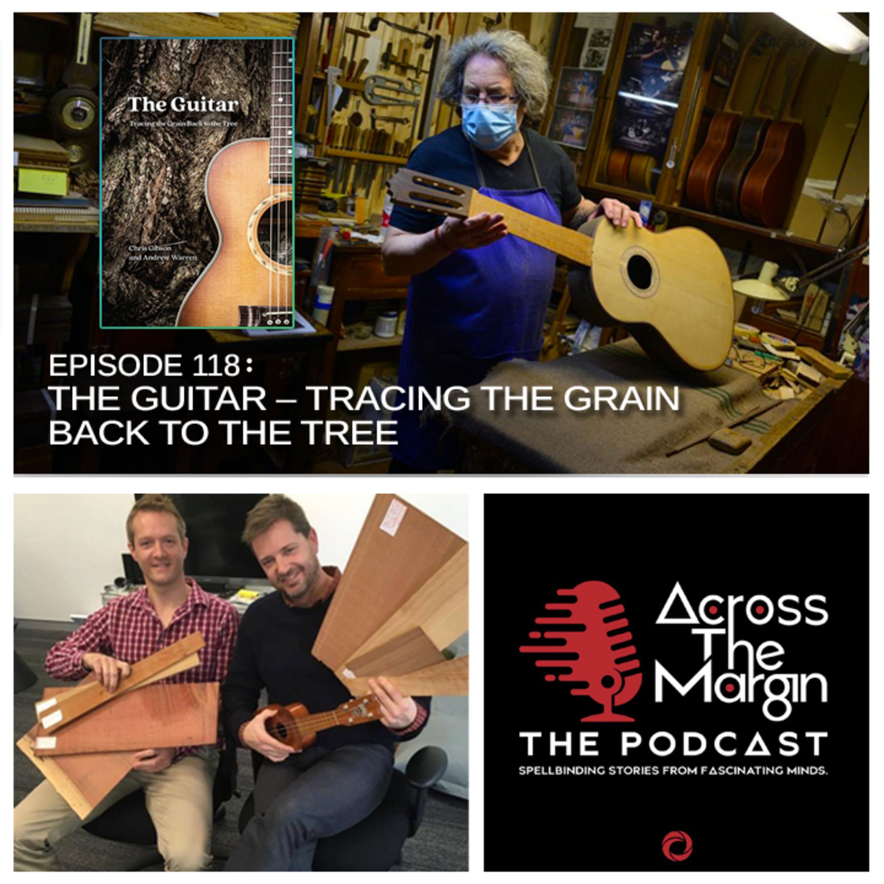 cover art for Episode 118: The Guitar: Tracing The Grain Back To The Tree