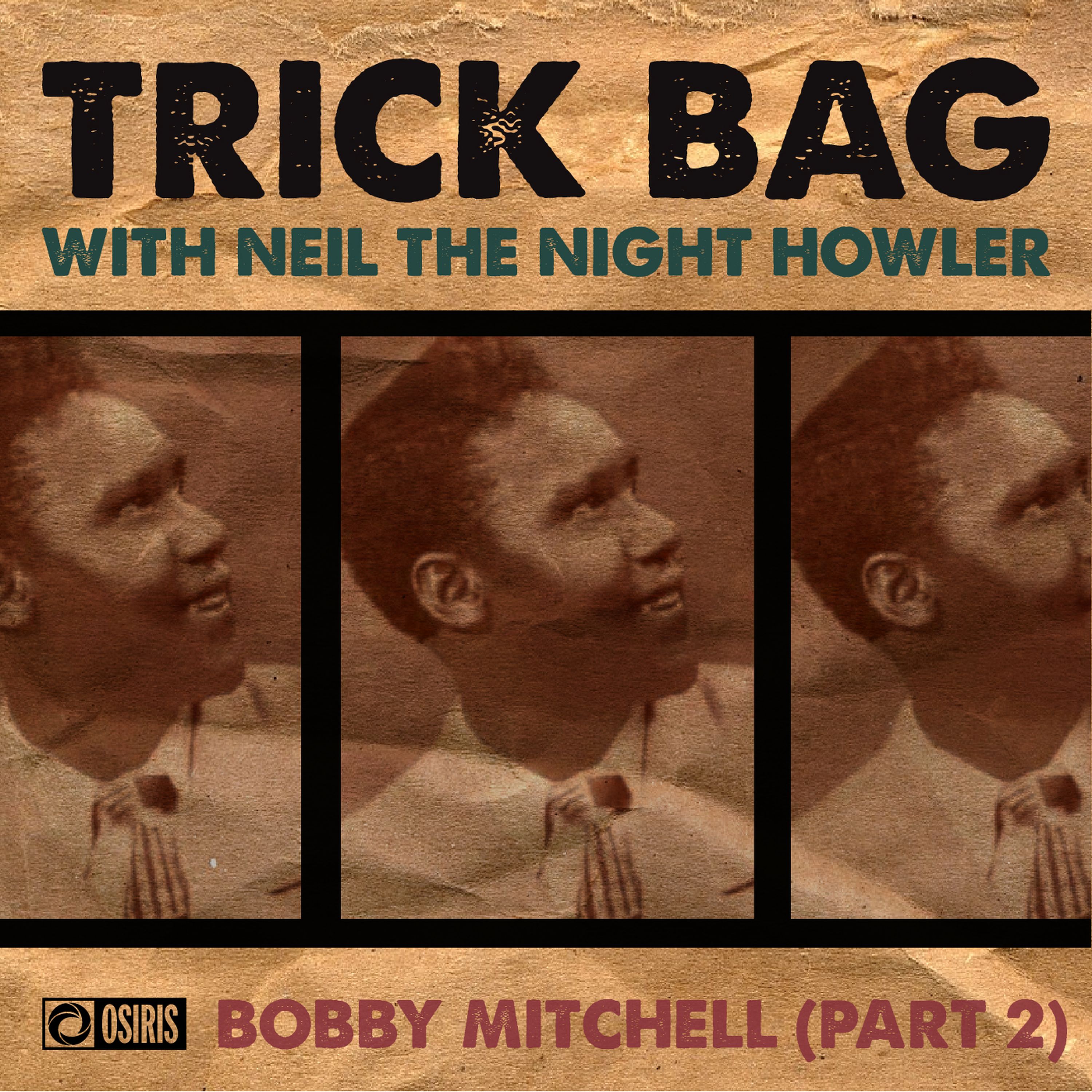 cover art for 13 - Bobby Mitchell (Part 2)