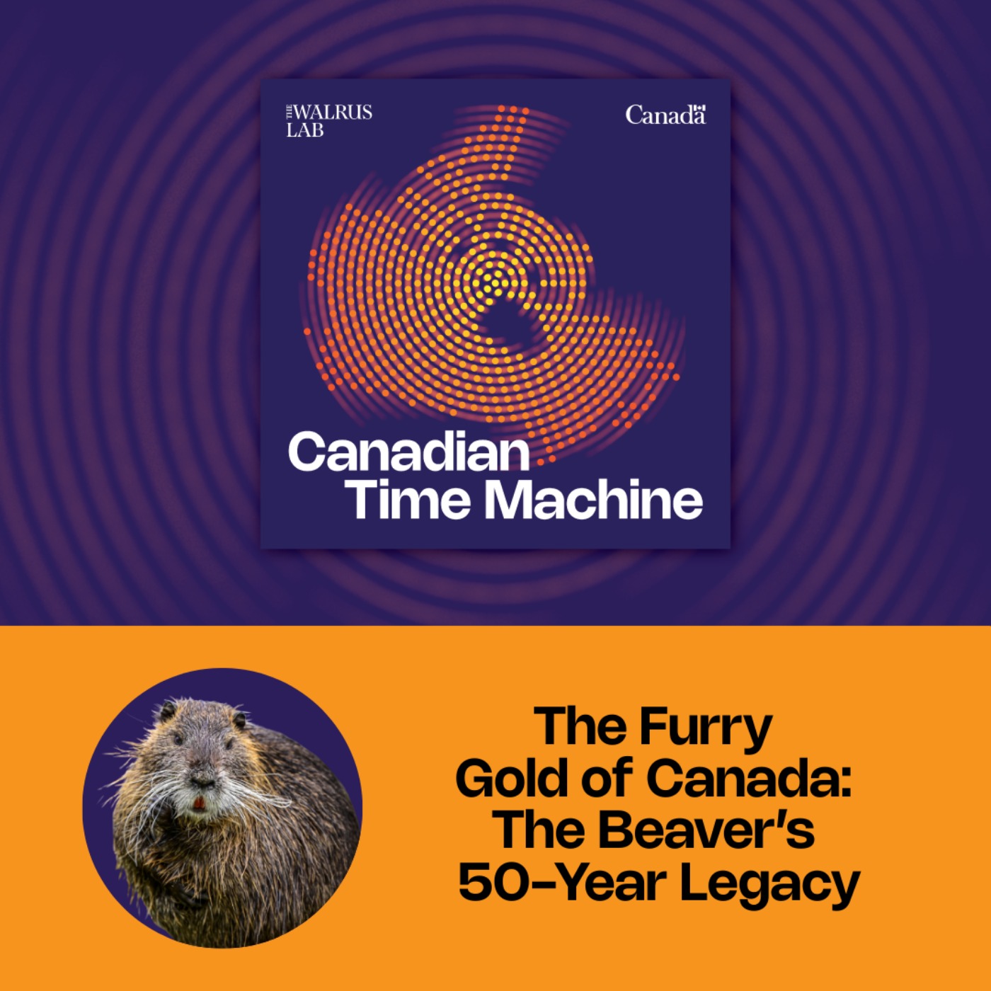 S11E8 Curious Canadian History presents: Canadian Time Machine | The Furry Gold of Canada: The Beaver’s 50-Year Legacy