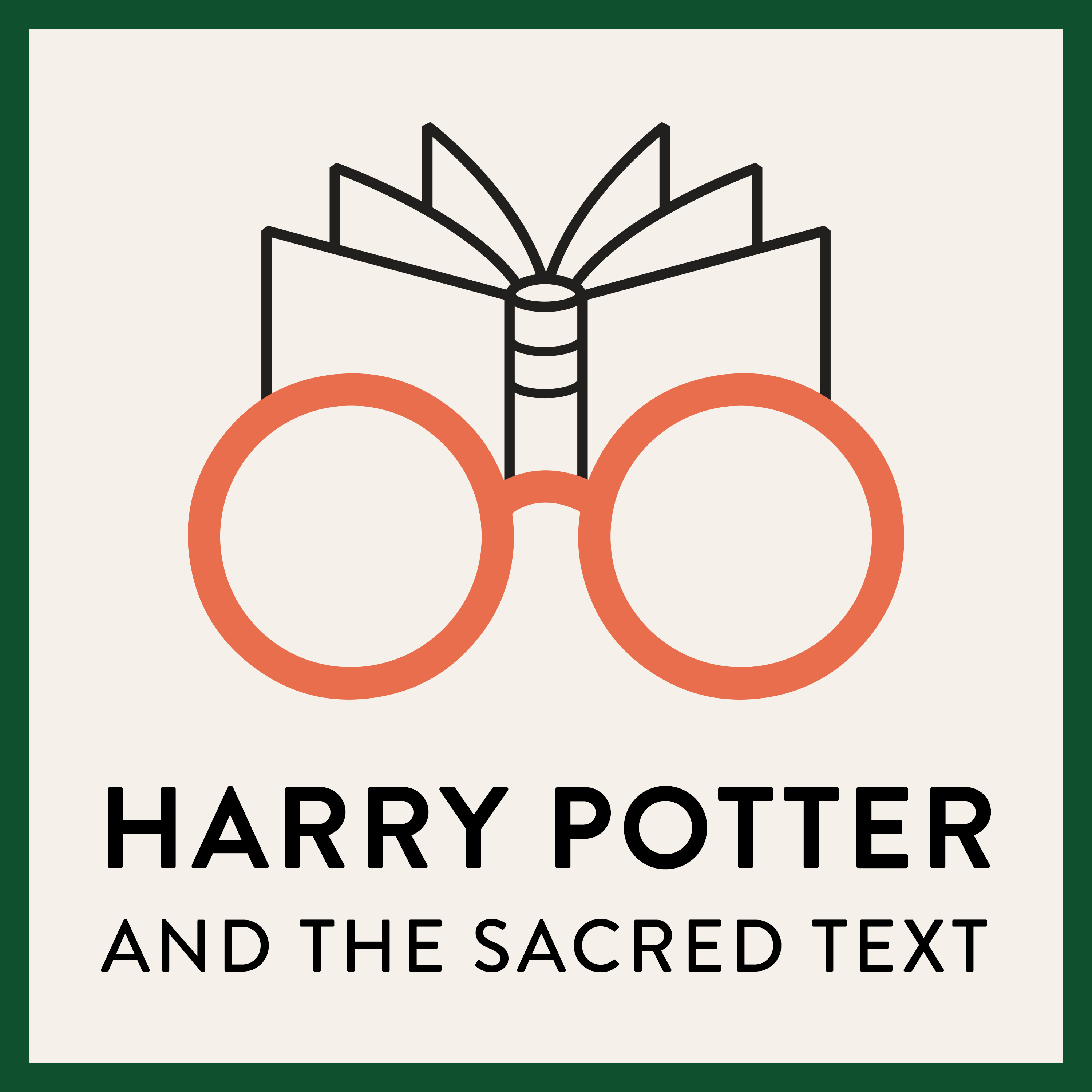 Harry Potter and the Sacred Text