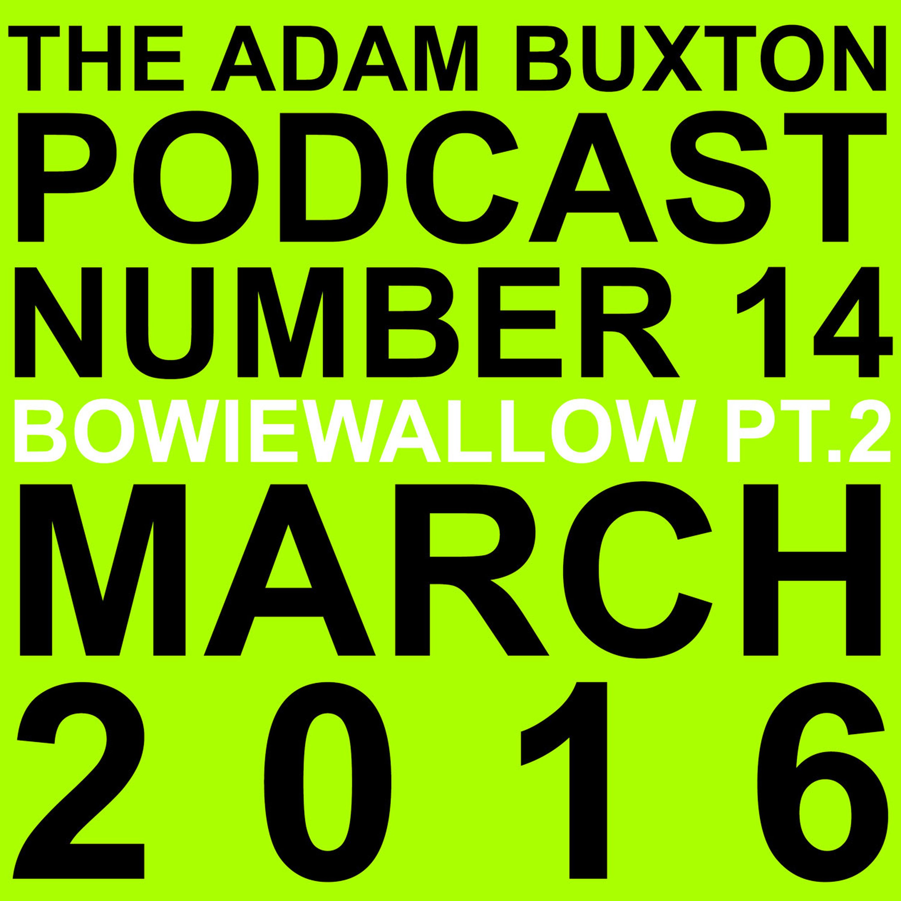 cover art for EP.14 - BOWIEWALLOW PT.2
