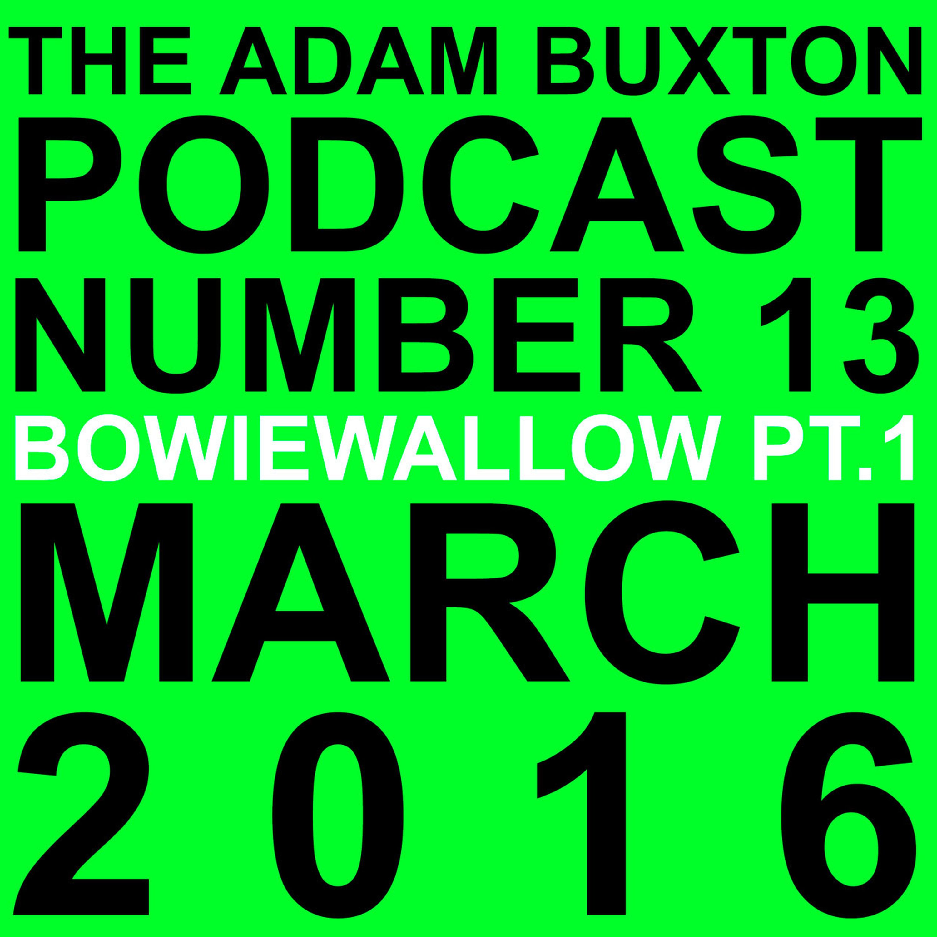 cover art for EP.13 - BOWIEWALLOW PT.1
