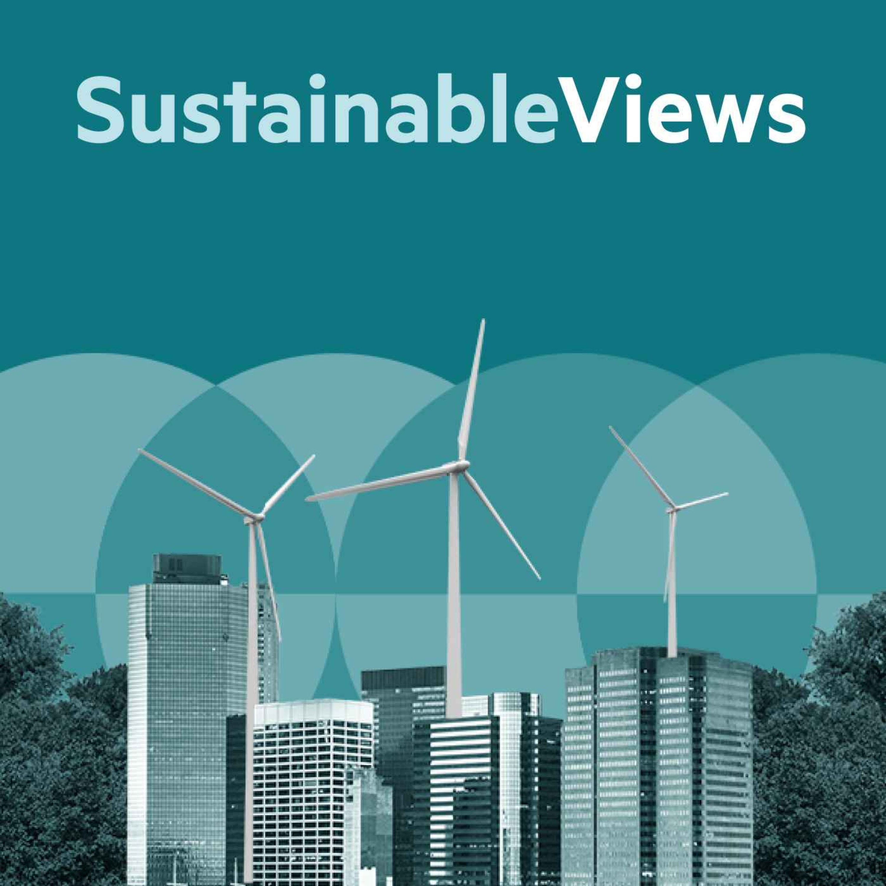 Sustainable Views: Should you offset your carbon emissions?