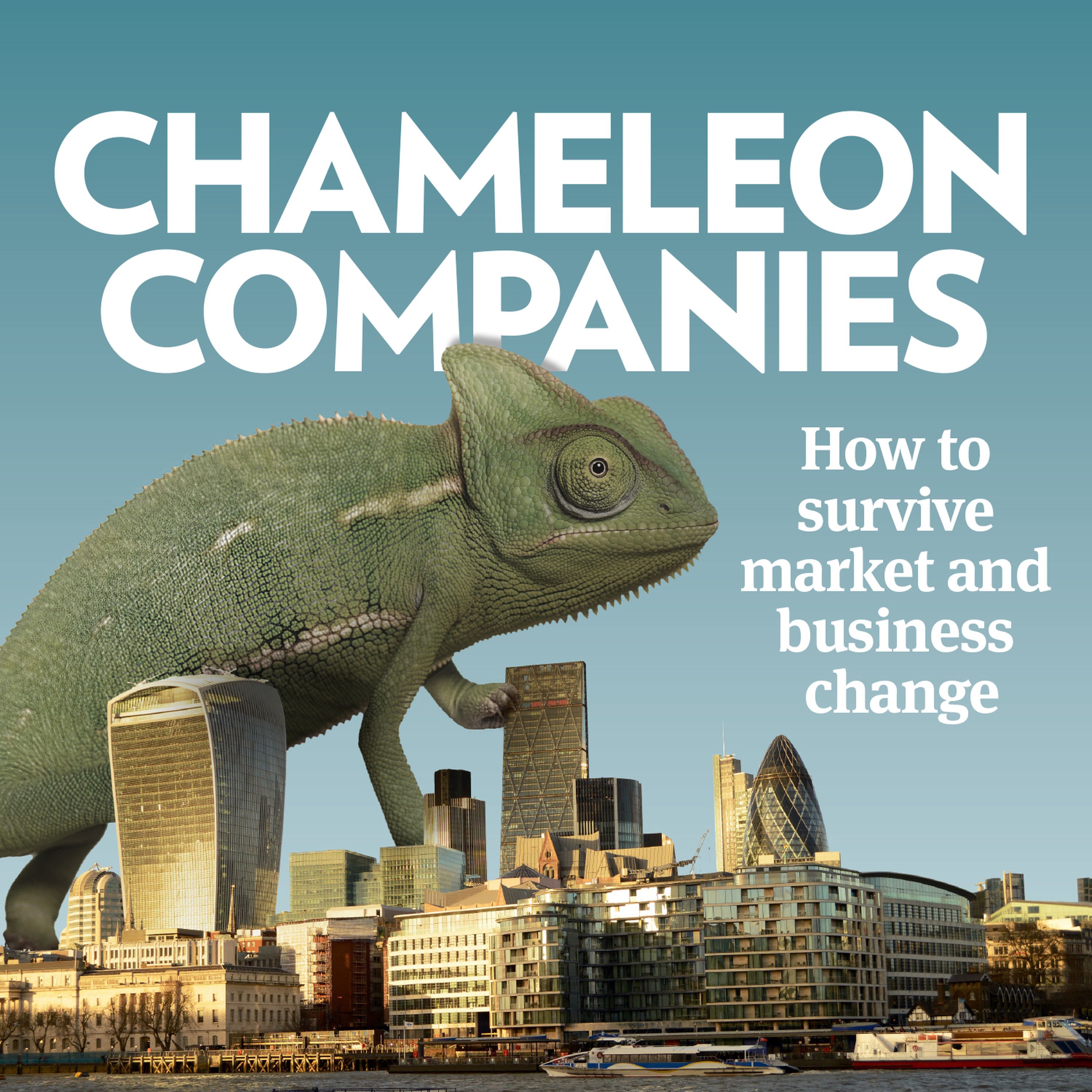 cover art for Companies & Markets Show: Bargain Shares & Burford Capital with Simon Thompson