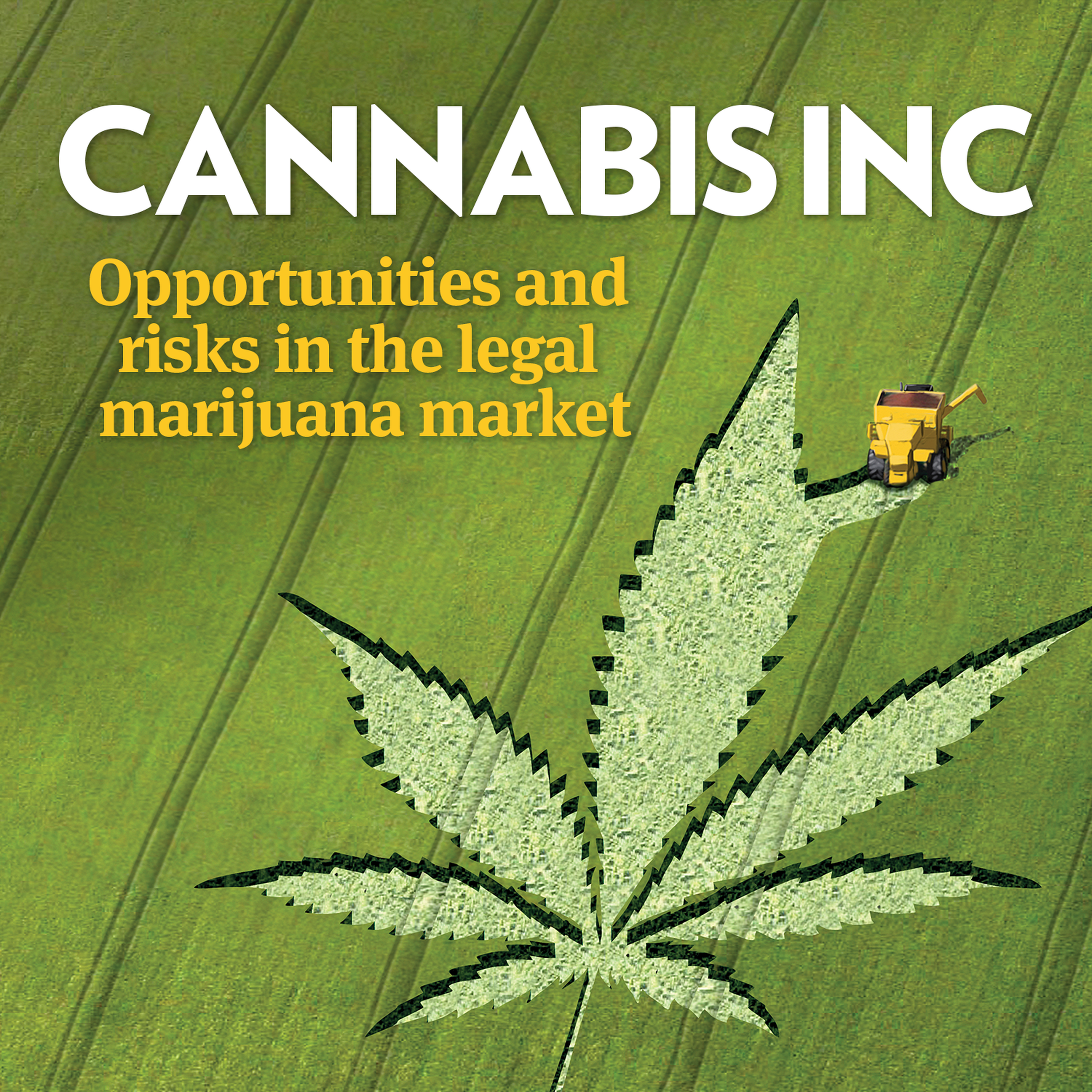 Companies & Markets Show: Dope investments