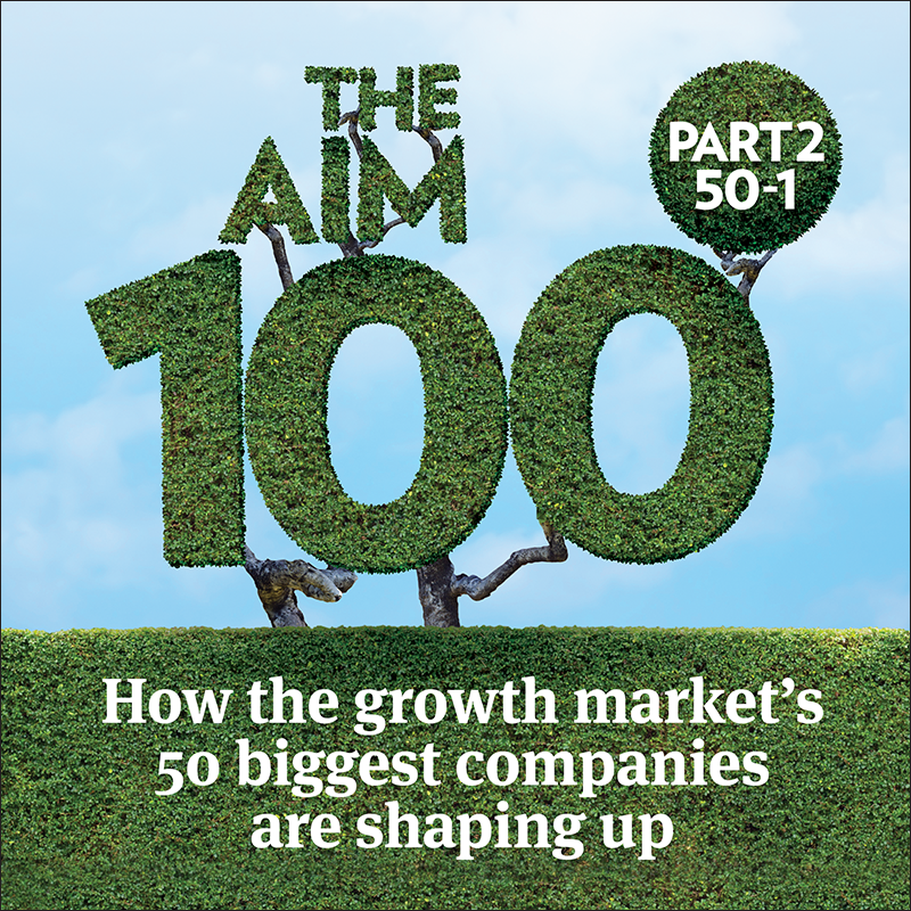 Companies & Markets Show: Aim's top stocks