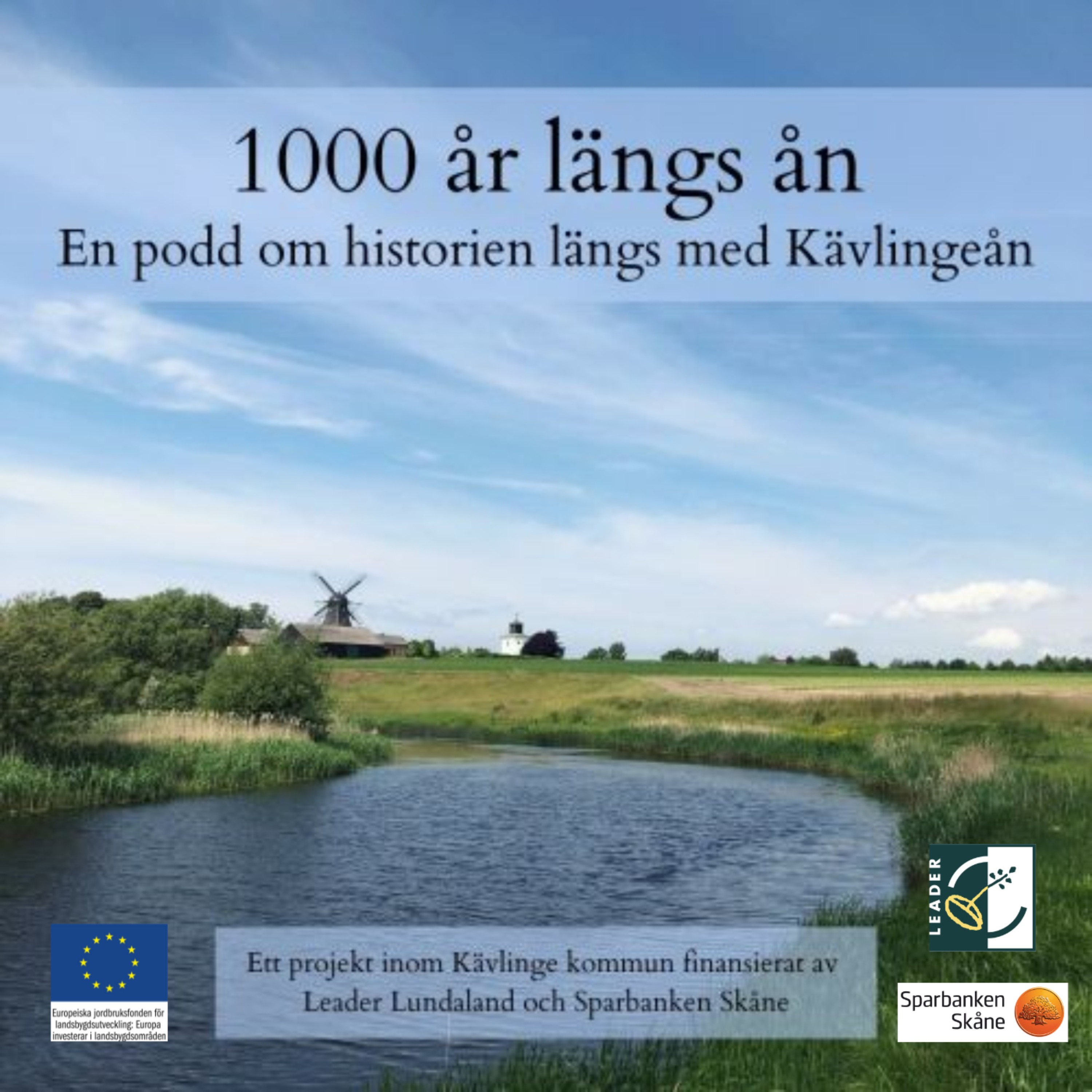 cover art for Vikingarna i Löddeköpinge