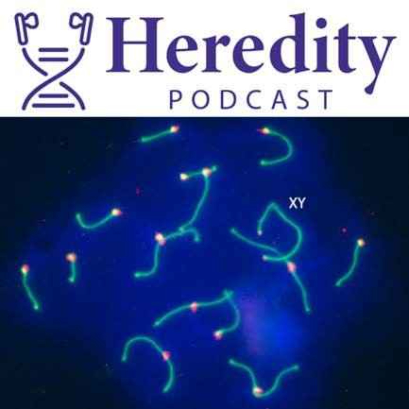 Heredity Podcast