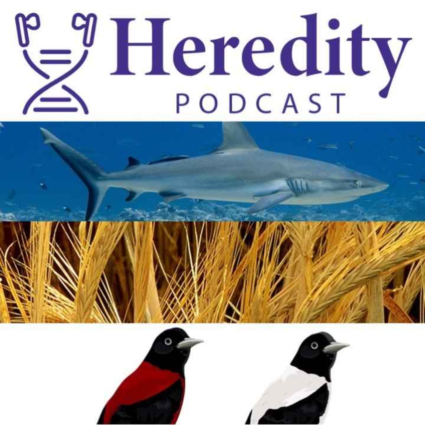 Heredity Podcast