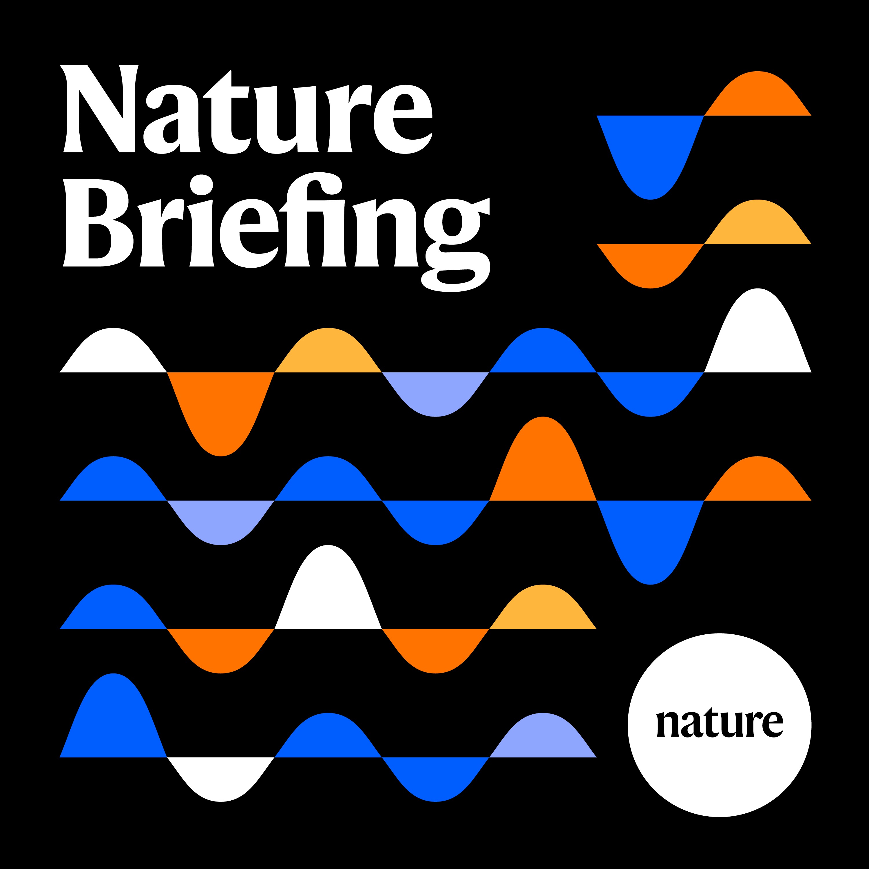 Briefing Chat: What Brazilian centenarians could reveal about the science of ageing