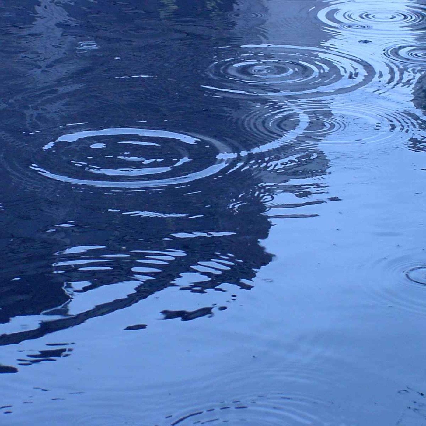 Ripples in a Pond.