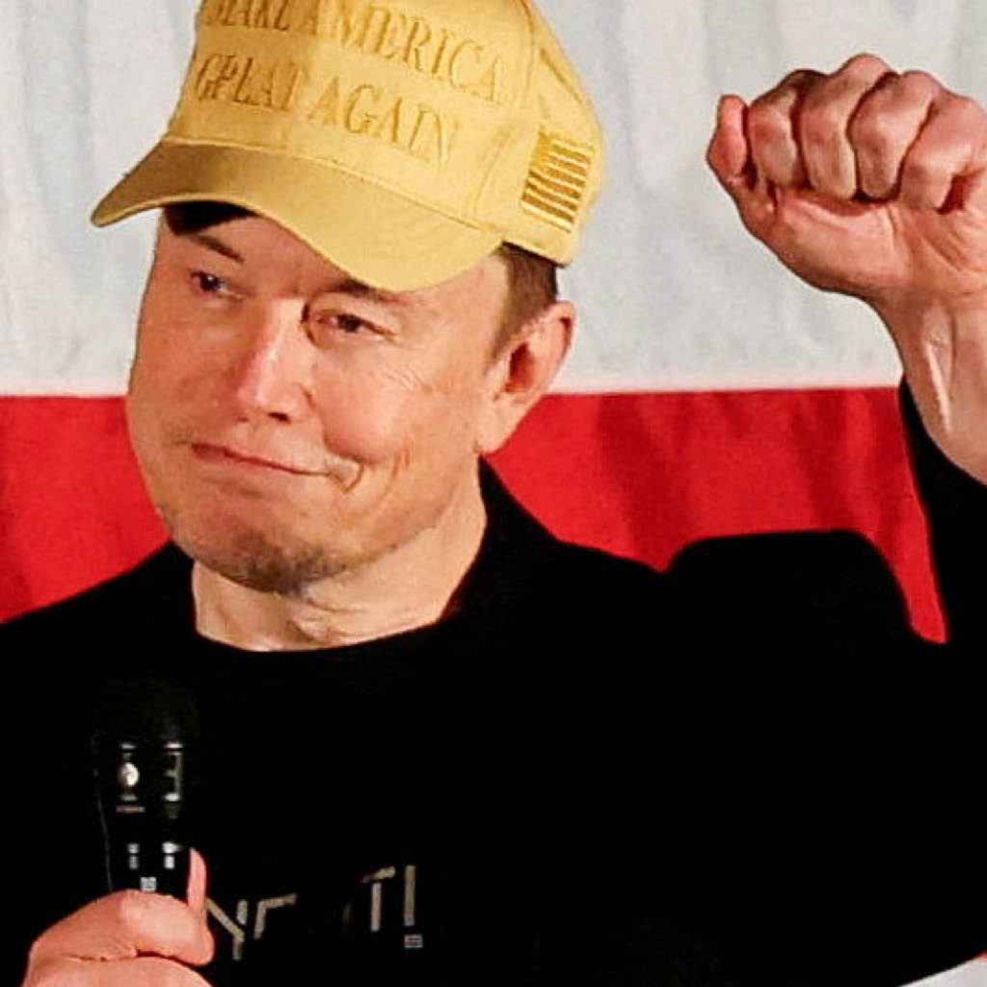 Elon Musk shakes up US politics over government funding