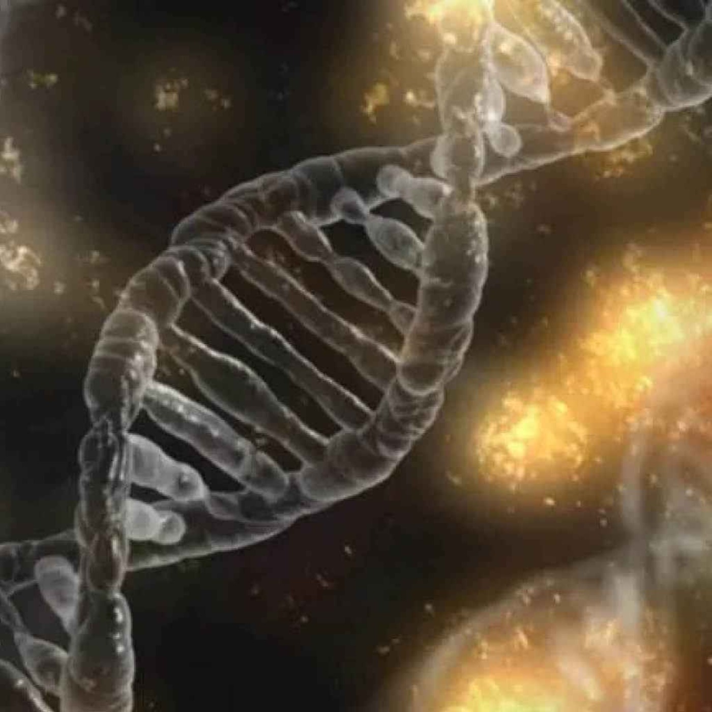 Ancient DNA reveals how people moved across the world