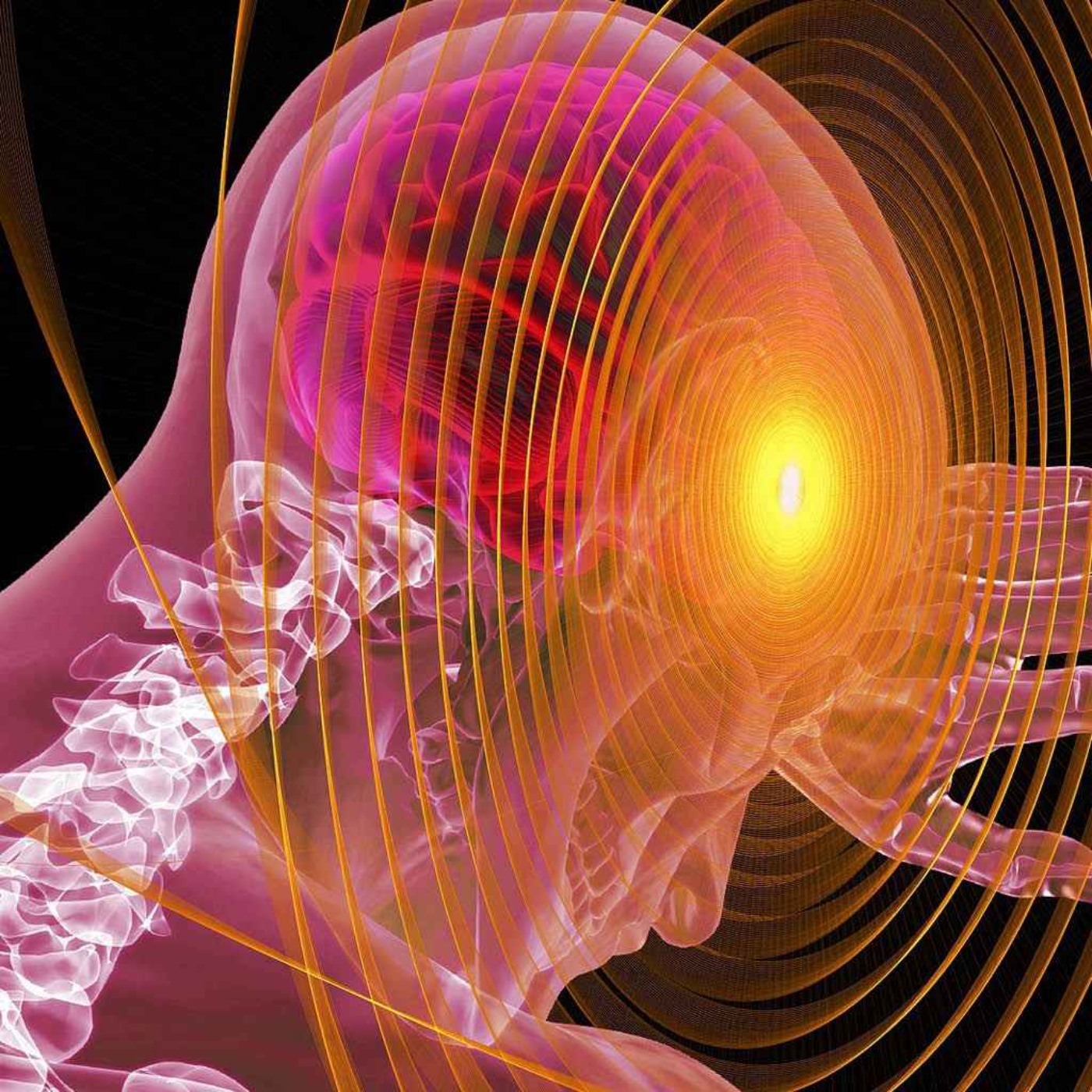 Scientists discover how brains beat fear