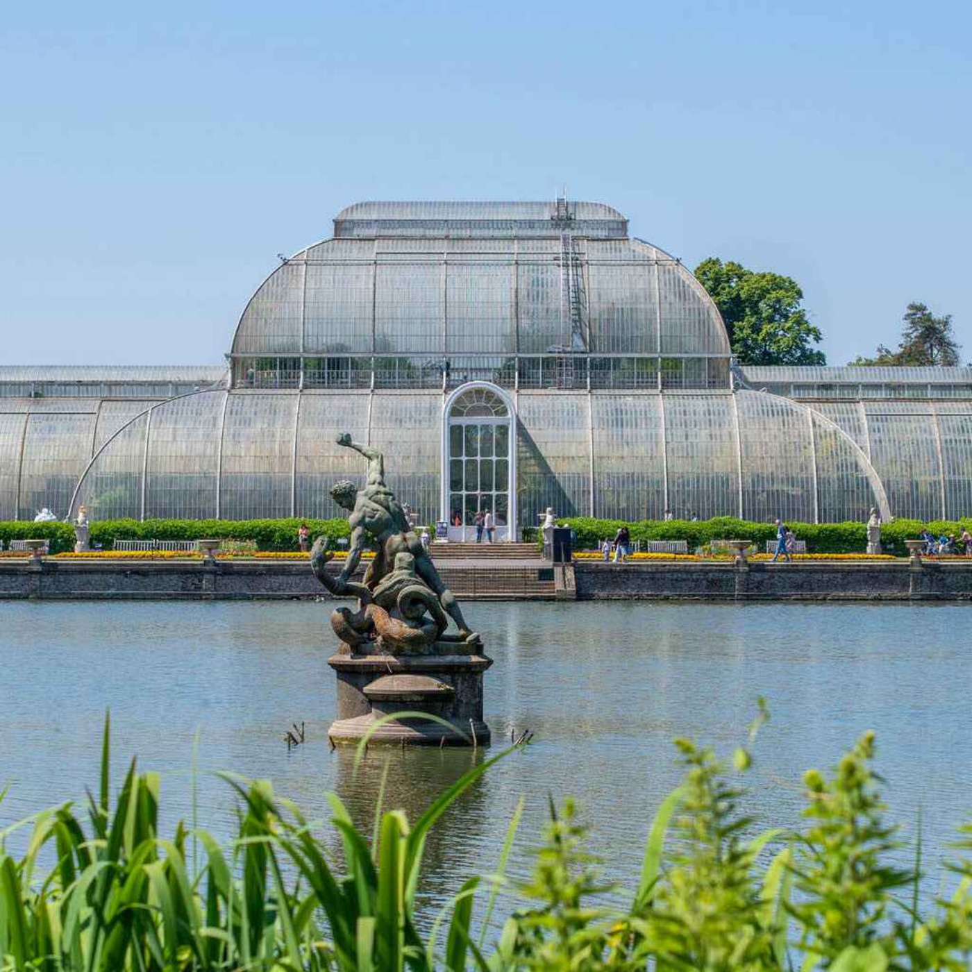 Kew Gardens' £60m Palm House renovation plans explained