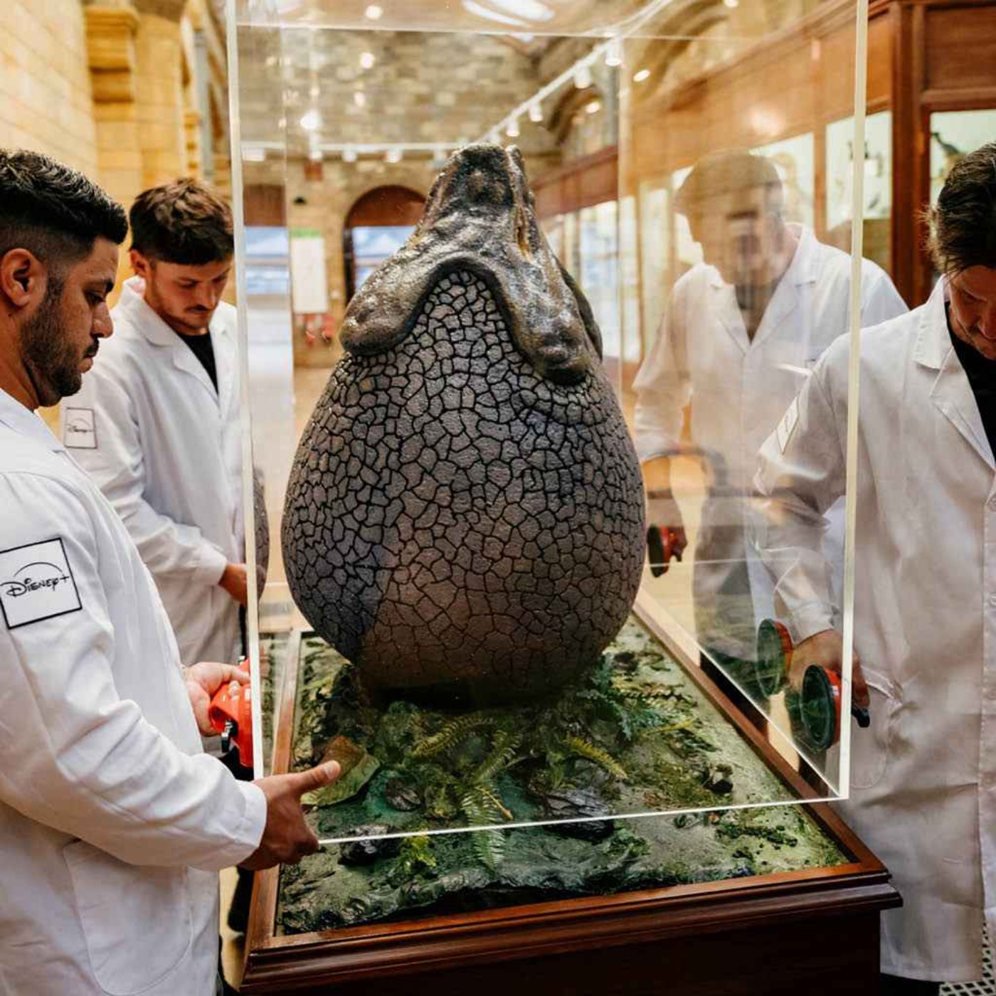Disney+ deliver Alien: Earth egg to the Natural History Museum