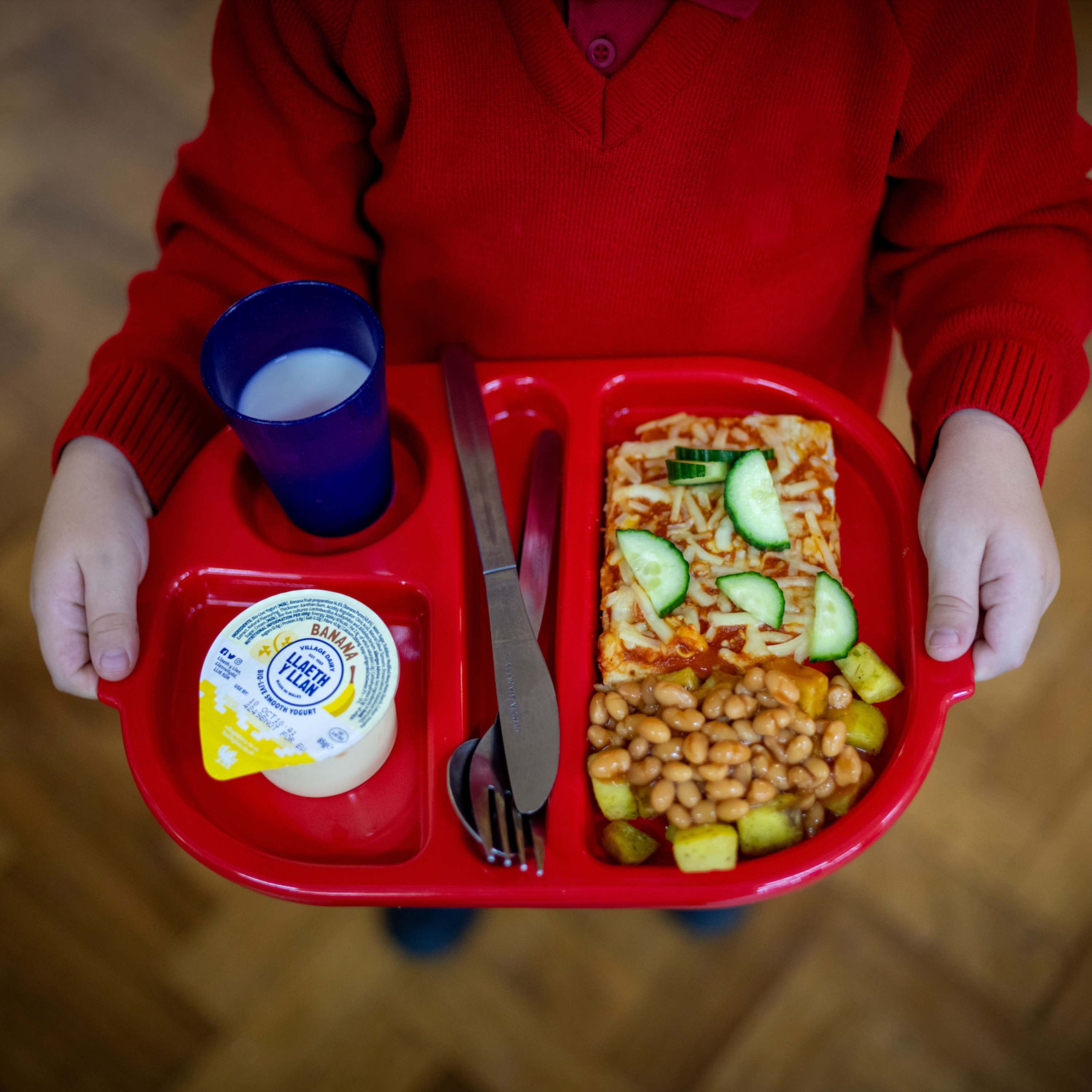 Can school meal reforms curb childhood obesity? With Nika Pajda episode artwork