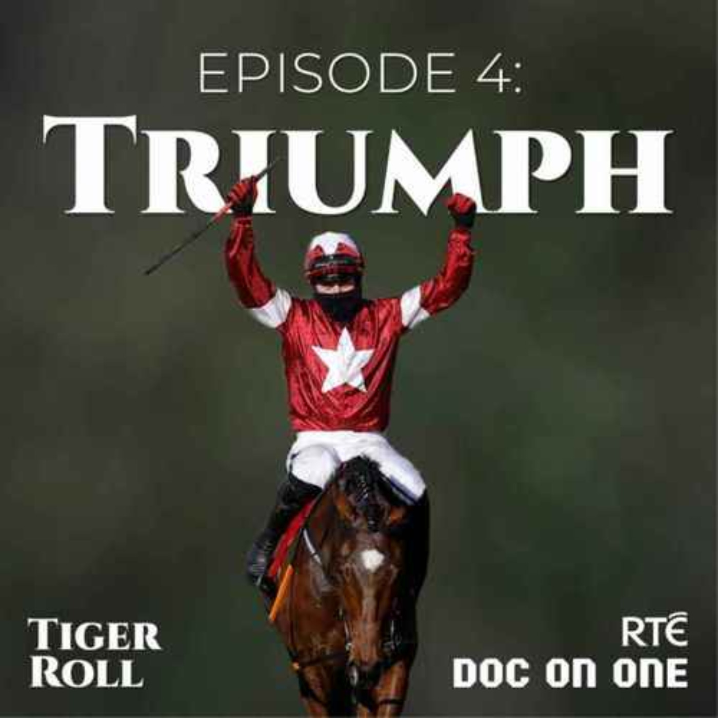 cover art for Tiger Roll, The People's Horse: 04 - Triumph