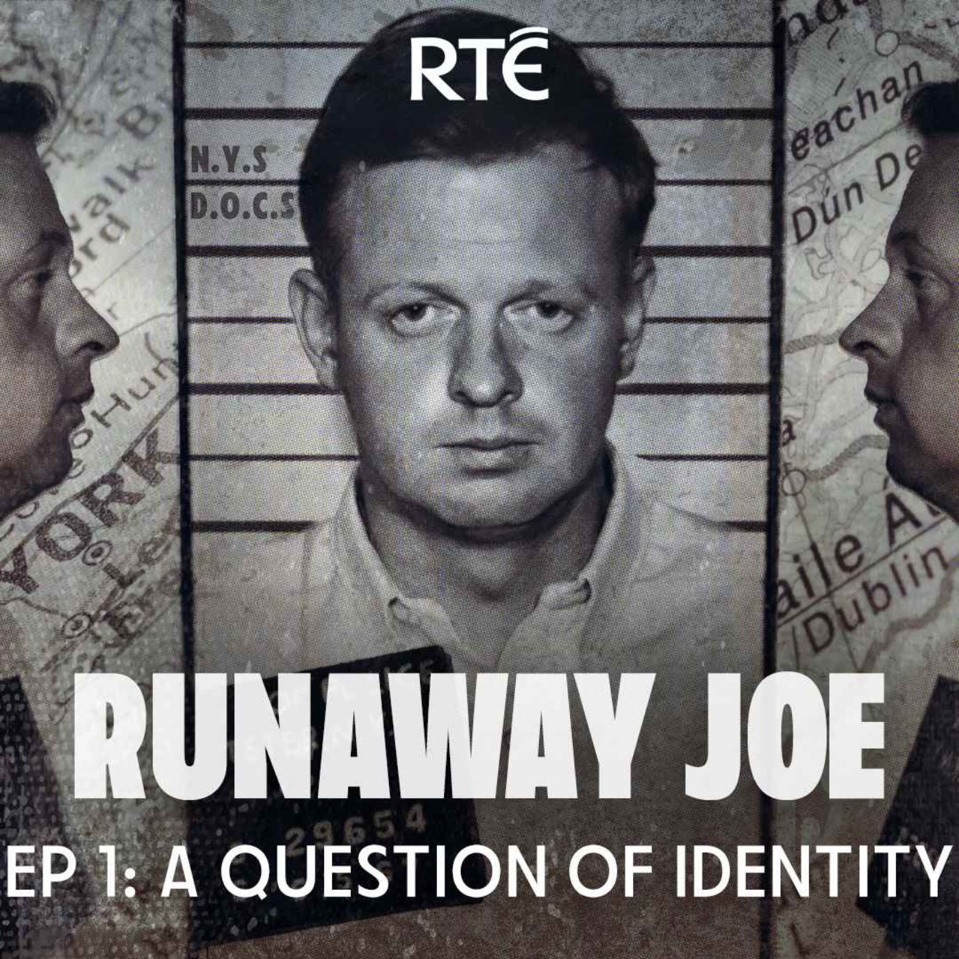 cover art for Runaway Joe: 01 - A Question of Identity