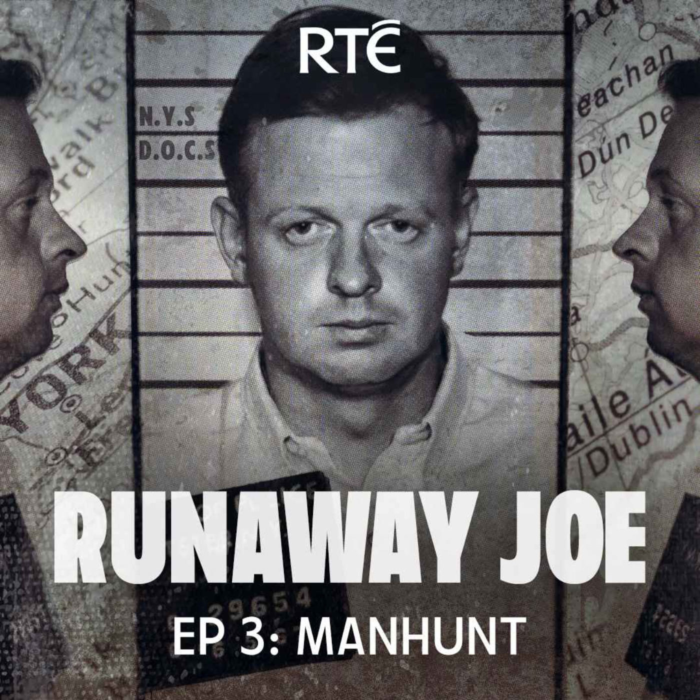 cover art for Runaway Joe: 03 - Manhunt