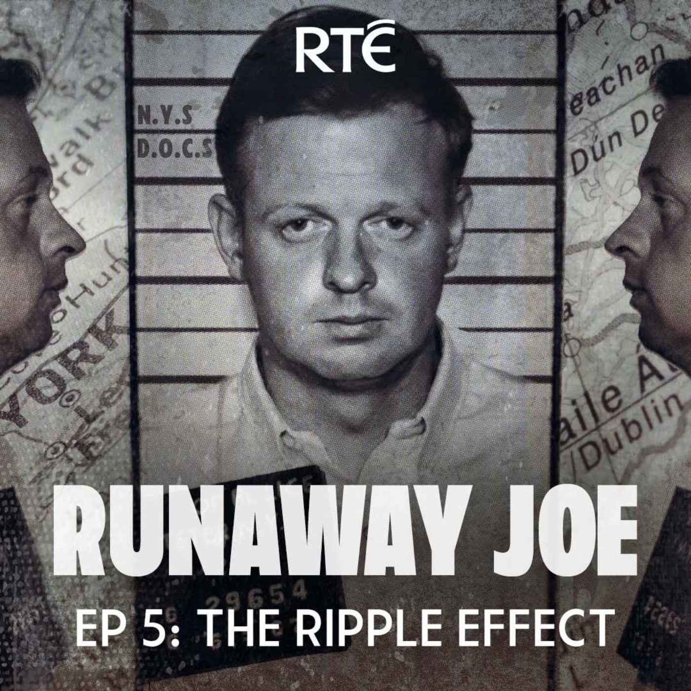 cover art for Runaway Joe: 05 - The Ripple Effect