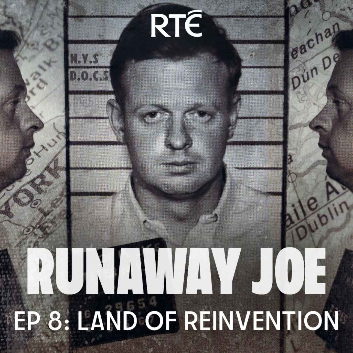 cover art for Runaway Joe: 08 - Land of Reinvention