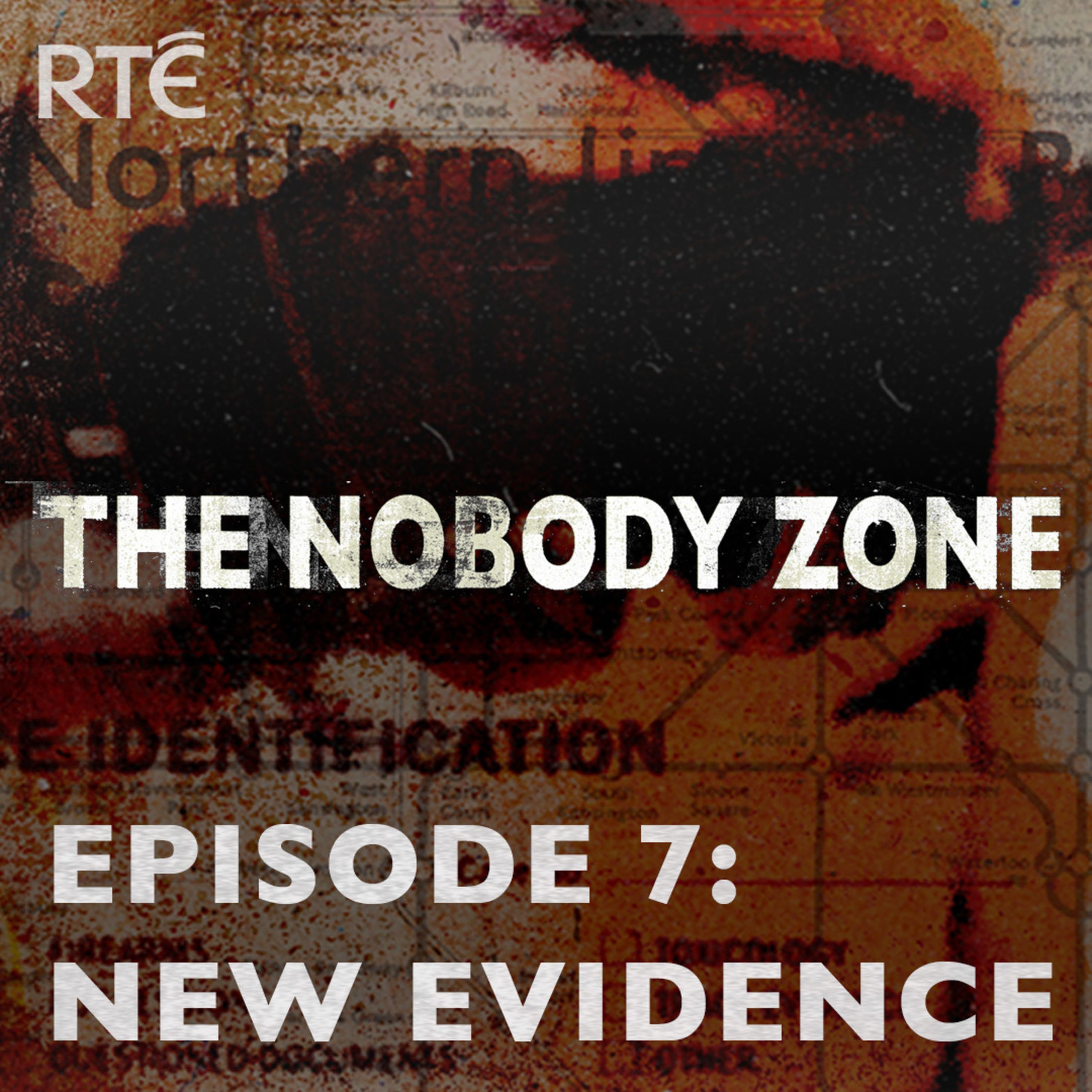cover art for The Nobody Zone: 07 - New Evidence