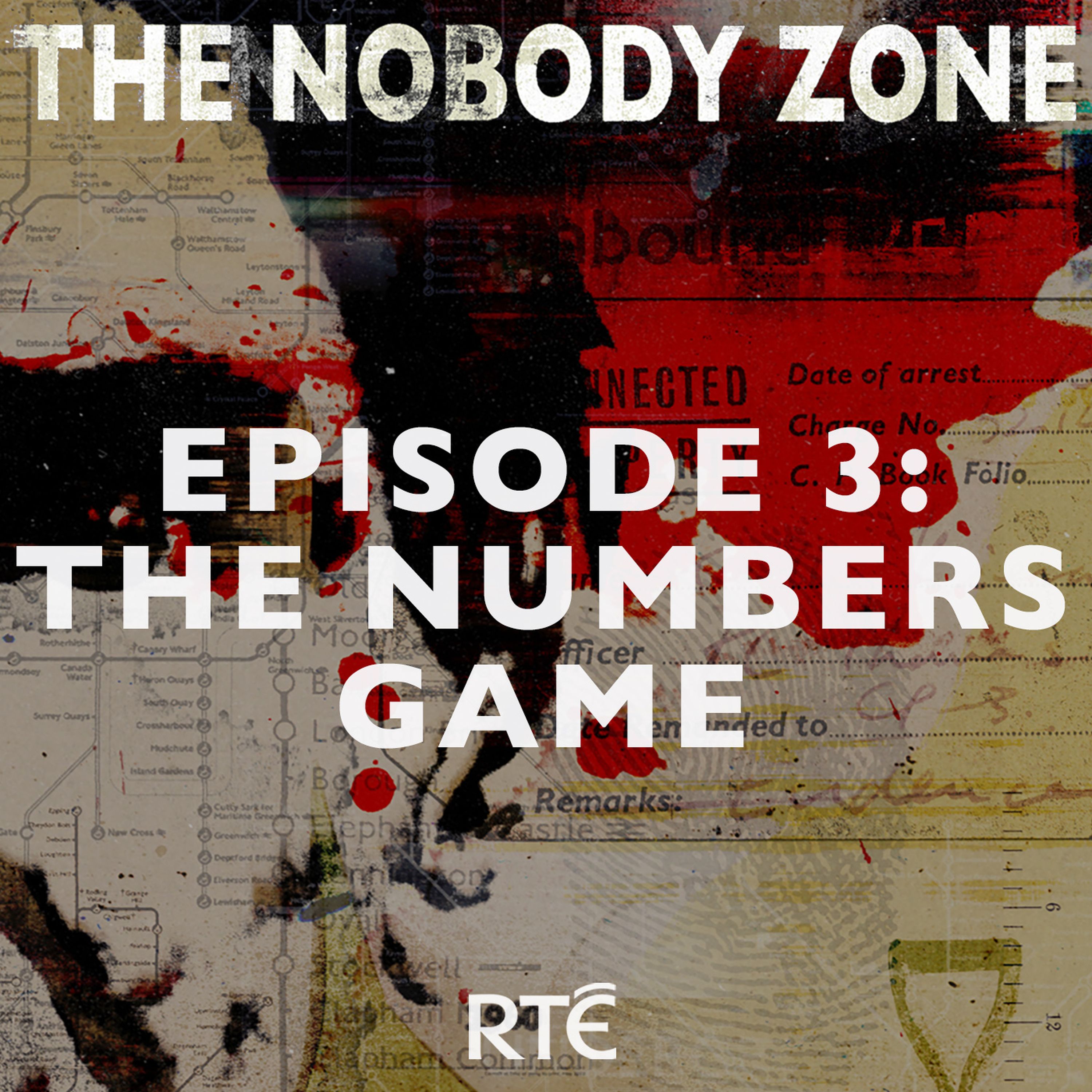 cover art for The Nobody Zone: 03 - The Numbers Game
