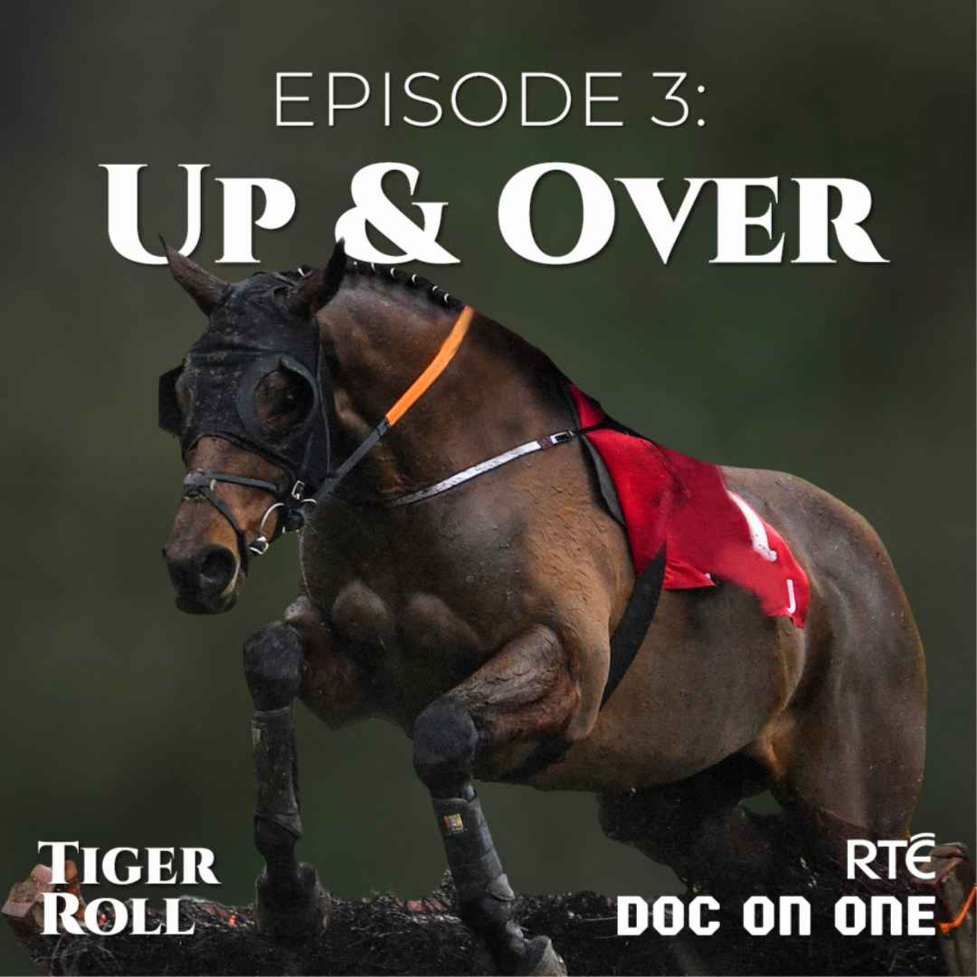 cover art for Episode 3: Up and Over
