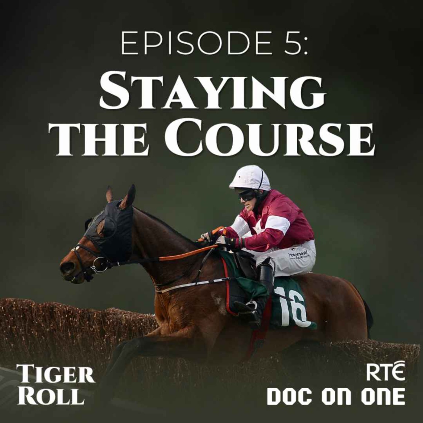 cover art for Episode 5: Staying The Course