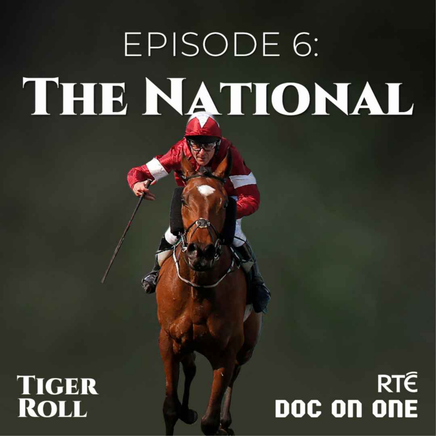 Tiger Roll: The People\'s Horse