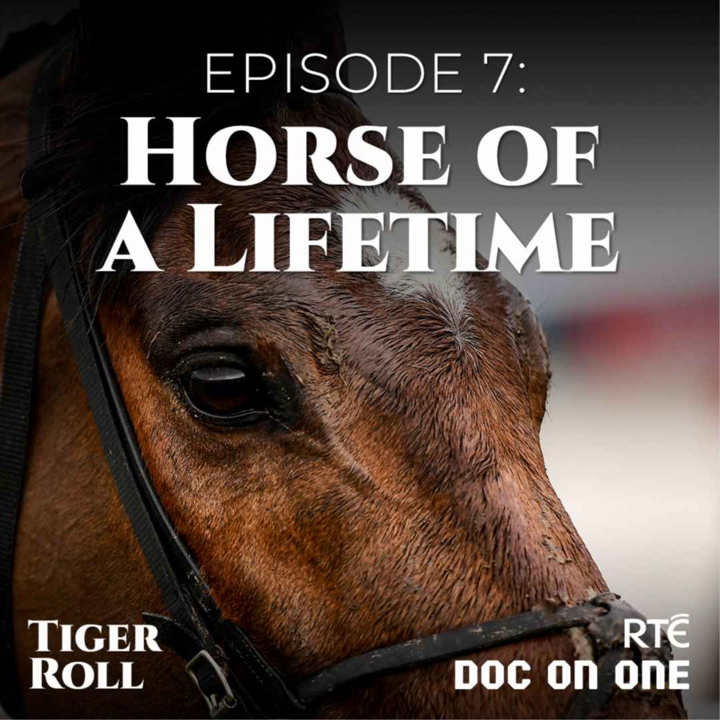 cover art for Episode 7: Horse of a Lifetime