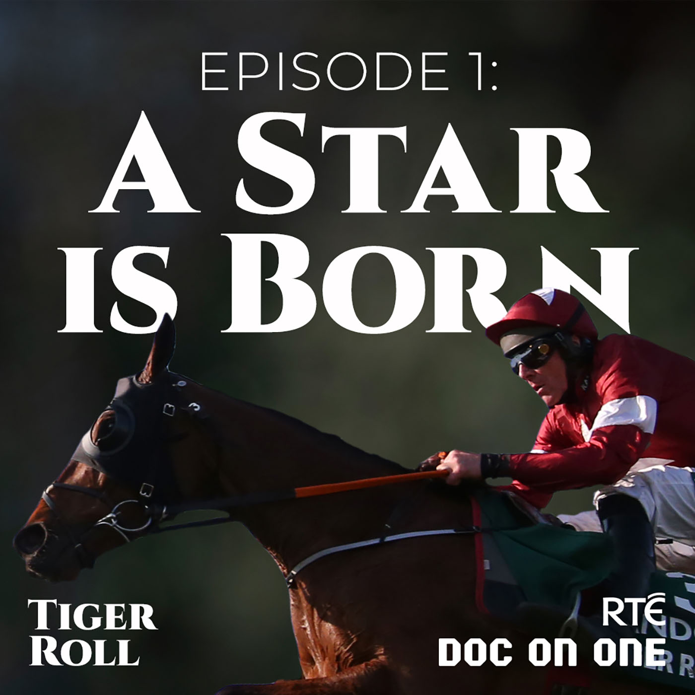 cover art for Episode 1: A Star is Born