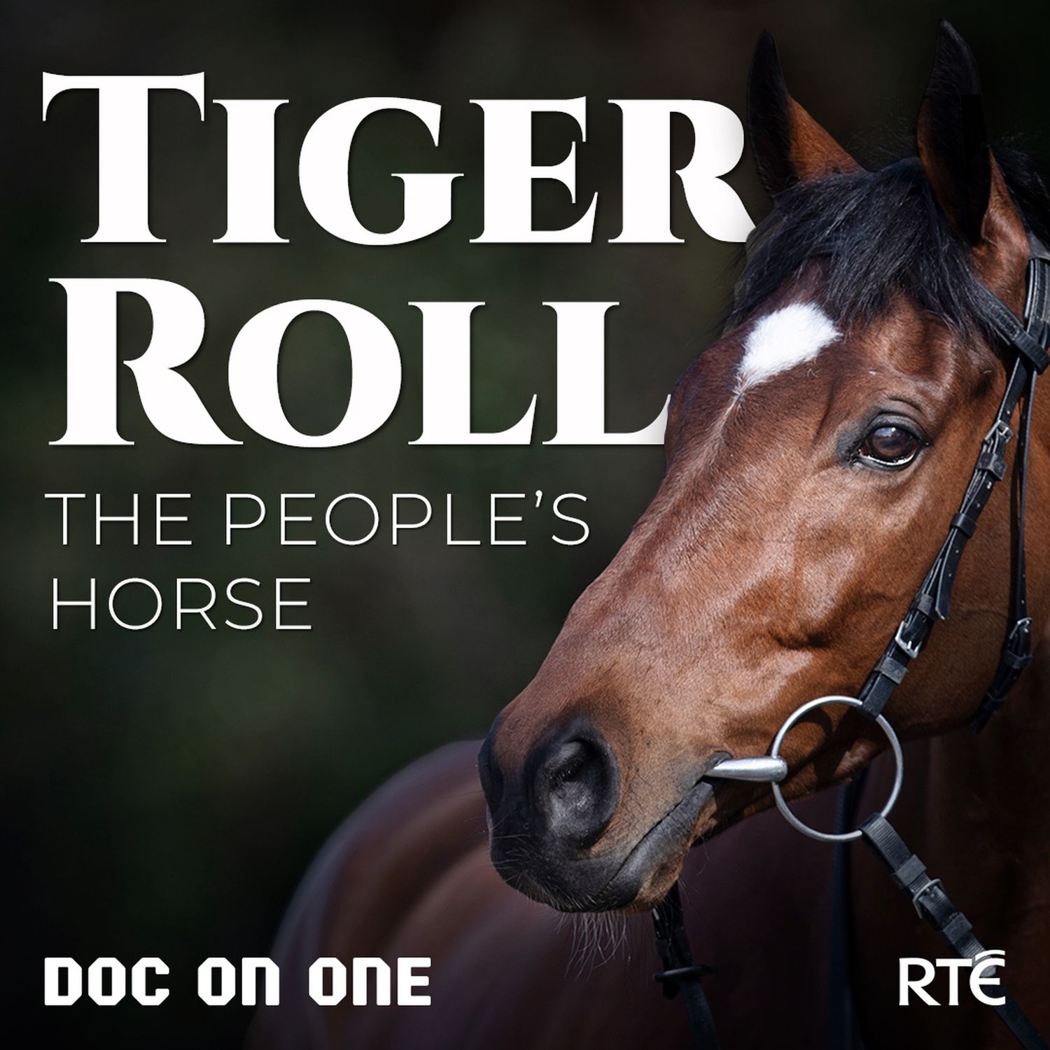 cover art for Introducing 'Tiger Roll: The People's Horse'