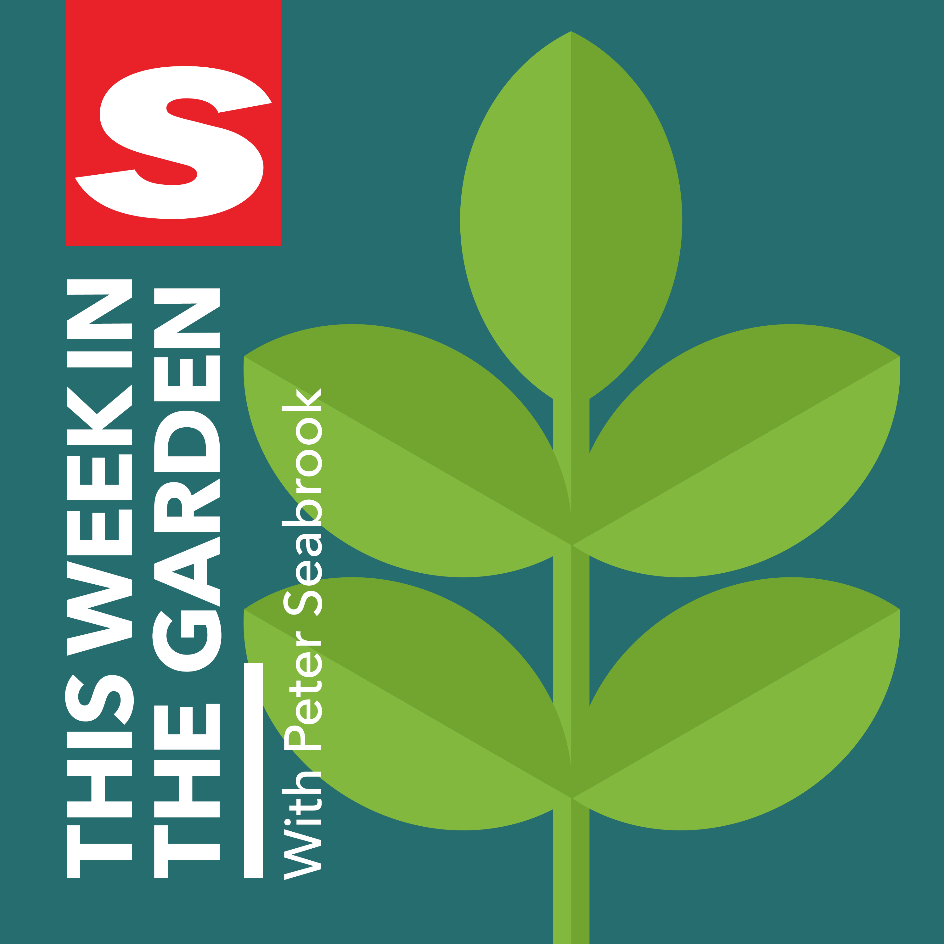 The bulb bible and a guide to the gardening media