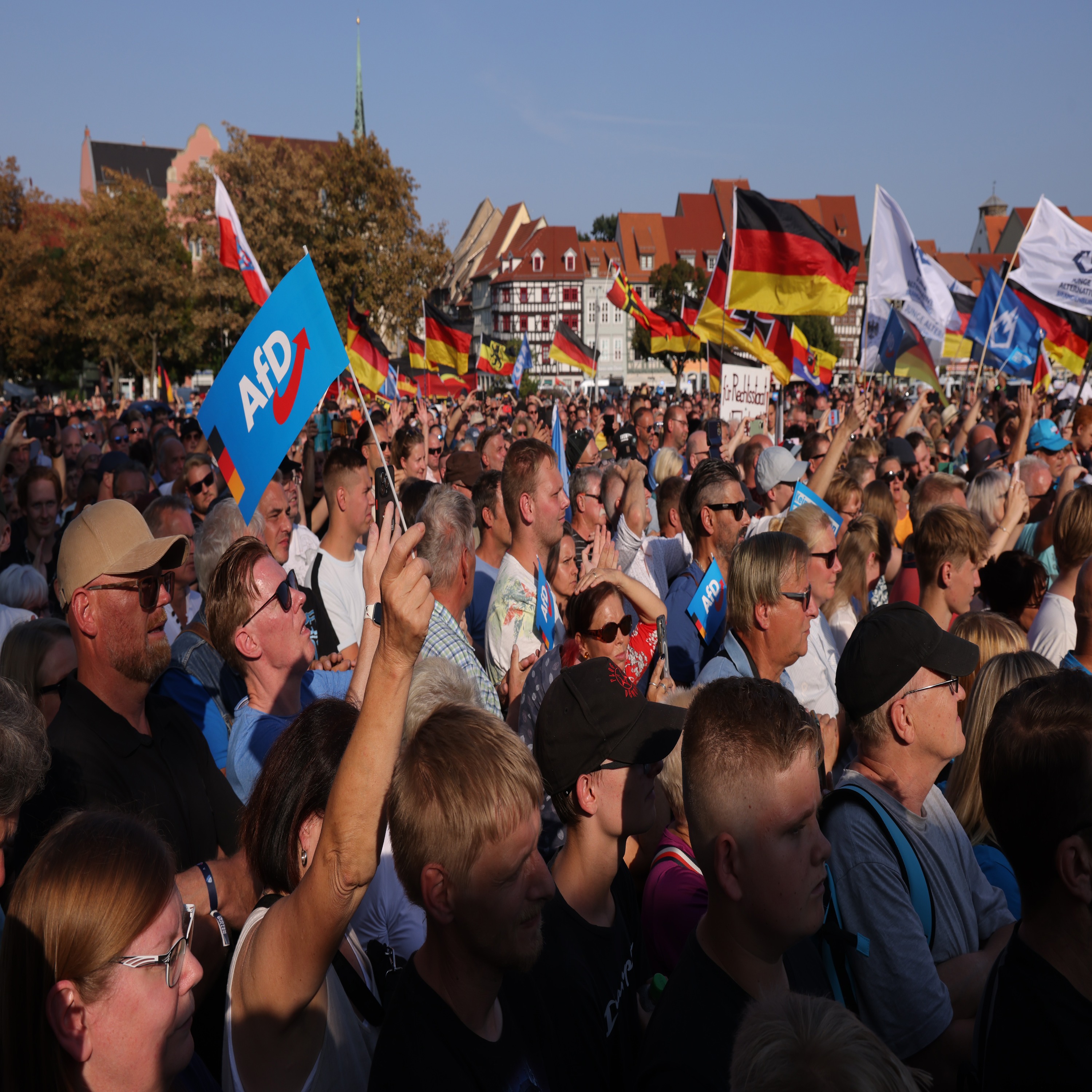 cover of episode The AfD and Germany's Nazi past