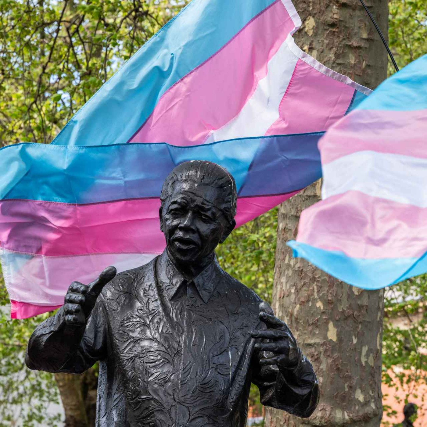 Trans ruling: the fall out